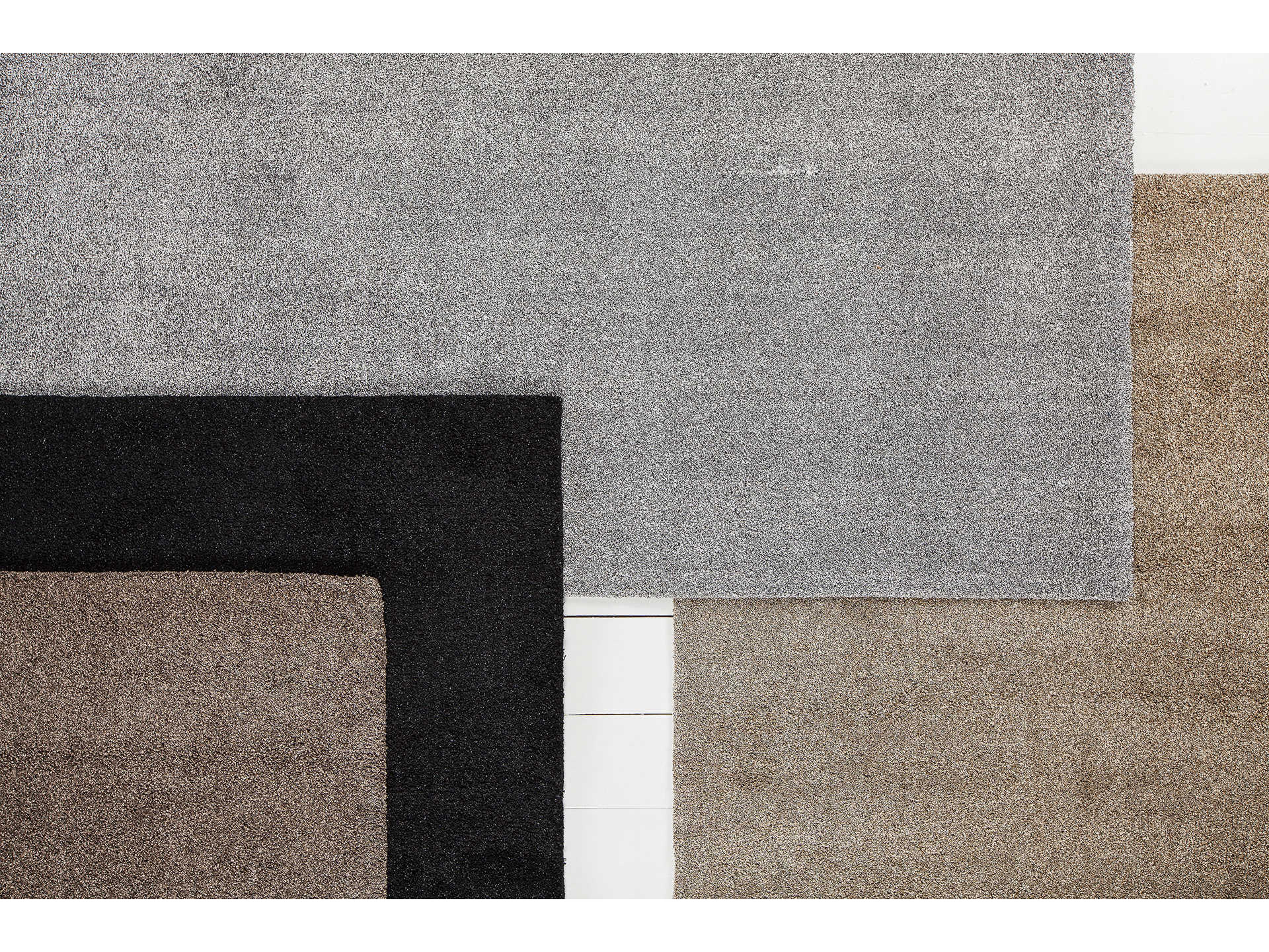 Chandra Alcon Area Rug