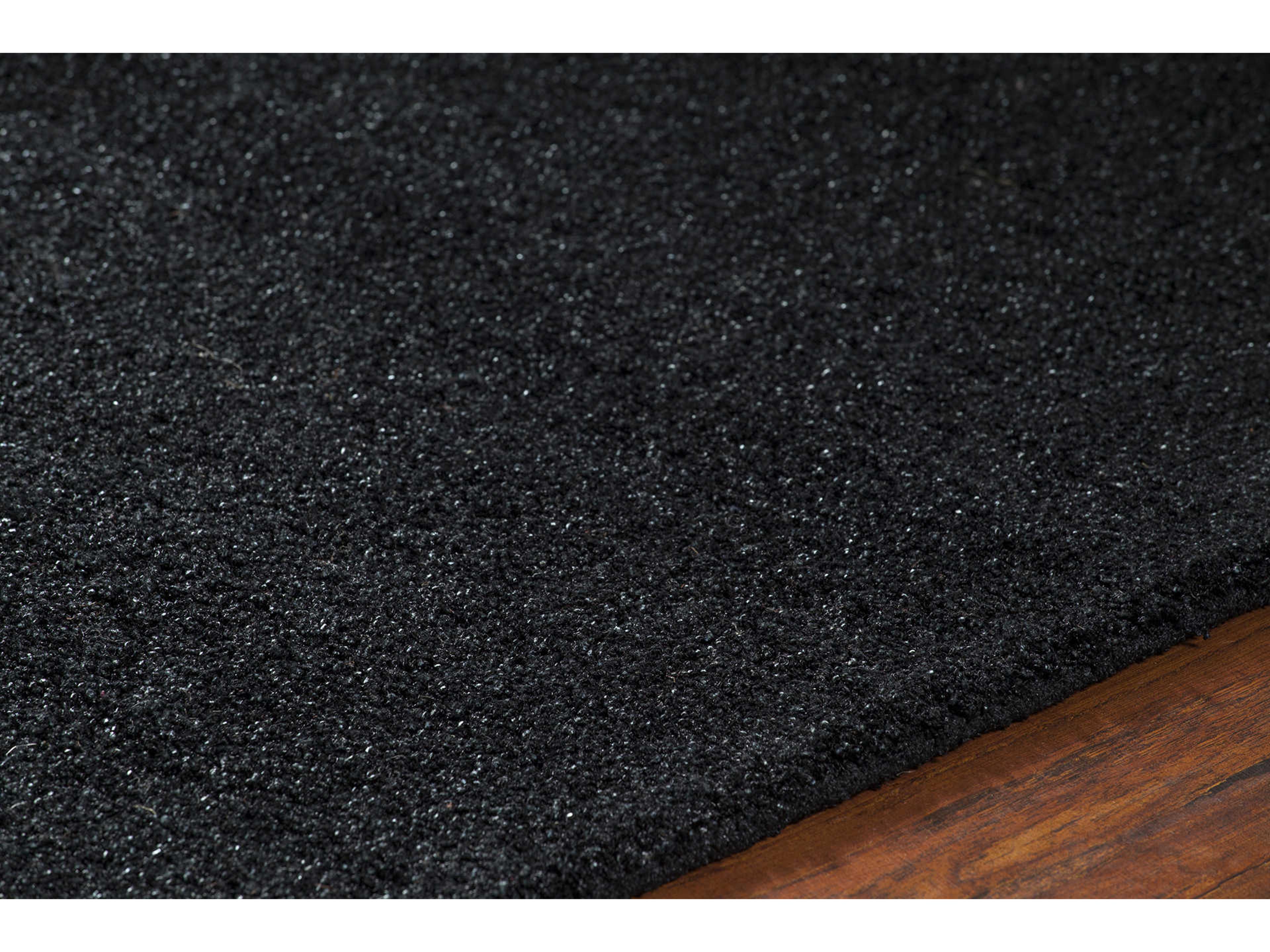 Chandra Alcon Area Rug