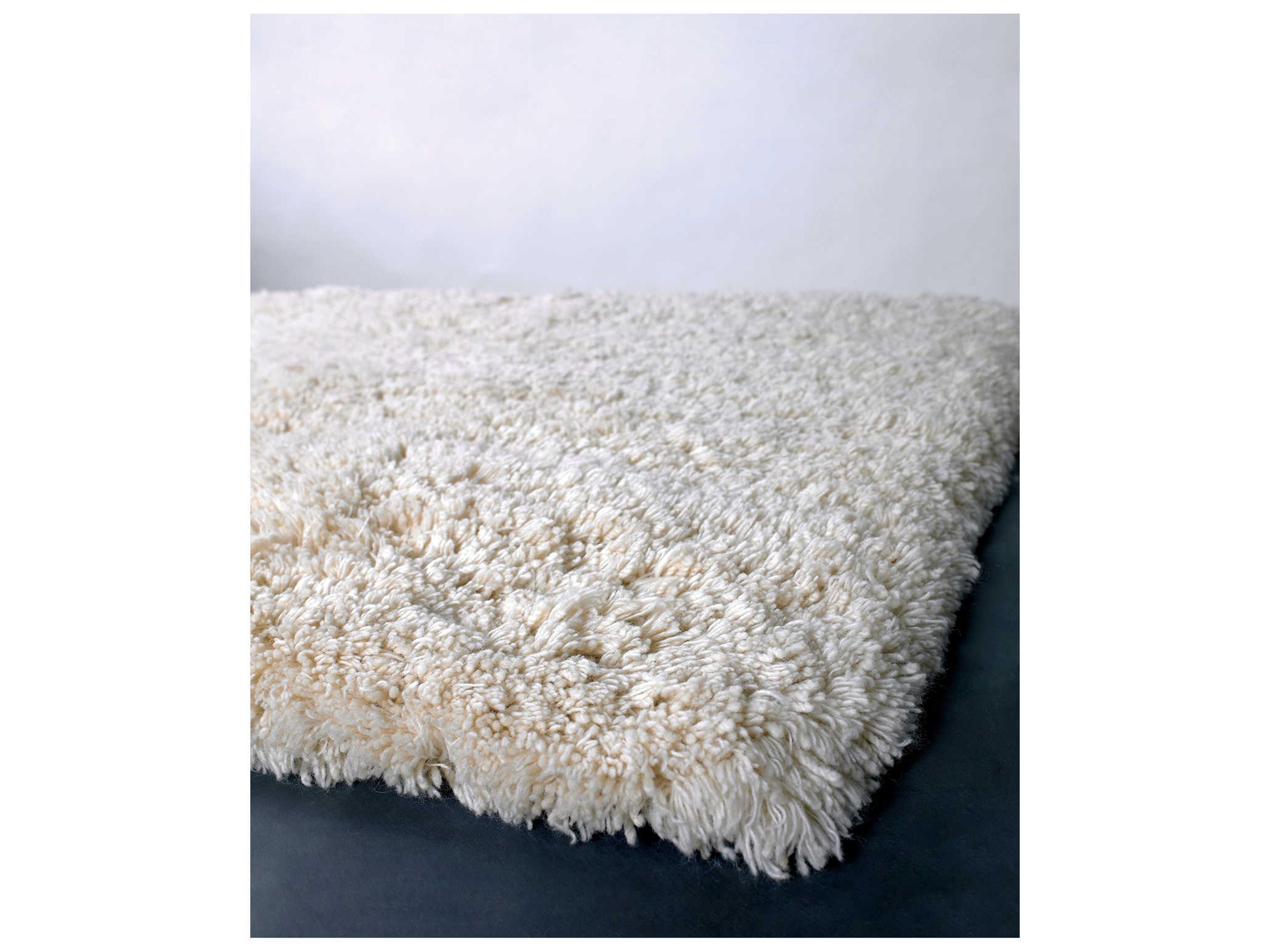 Chandra Ambiance Shag Area Rug