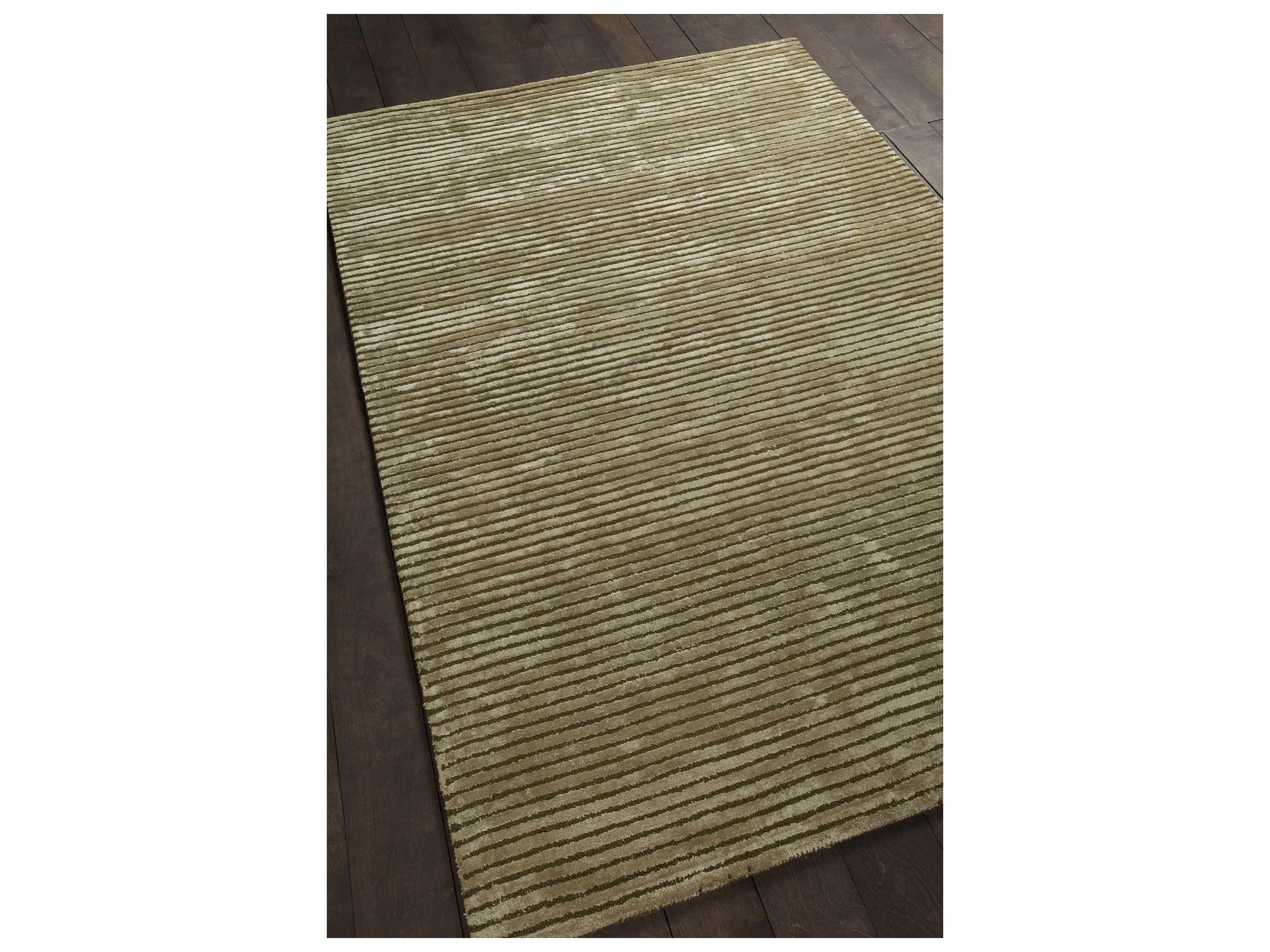 Chandra Angelo Area Rug