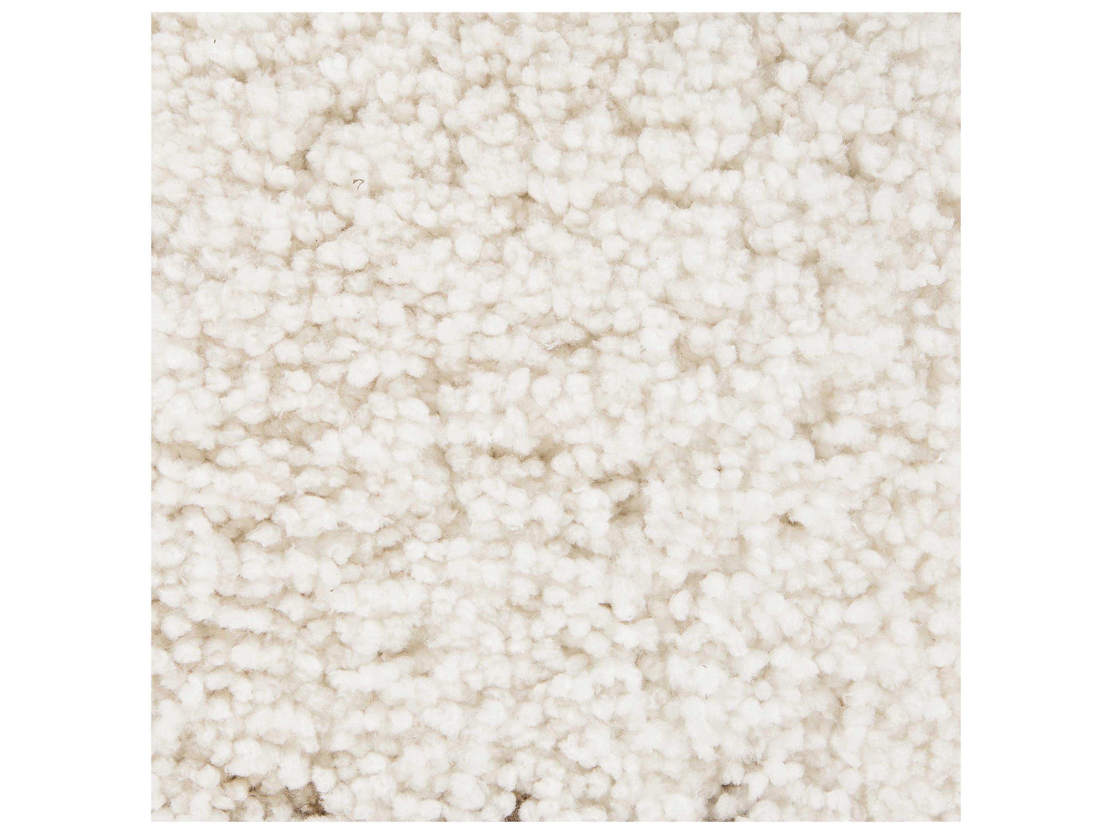 Chandra Bella Shag Area Rug