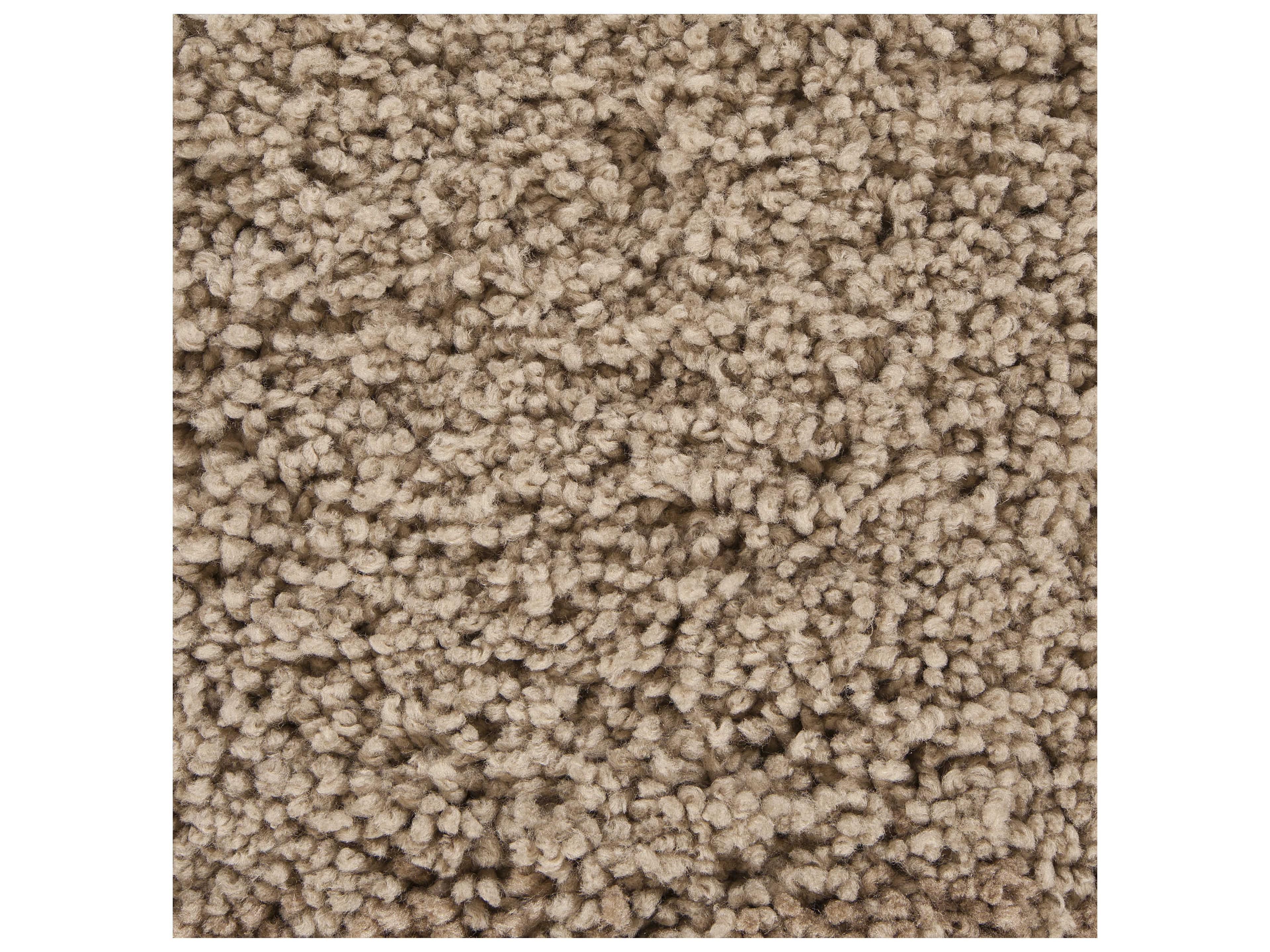 Chandra Bella Shag Area Rug