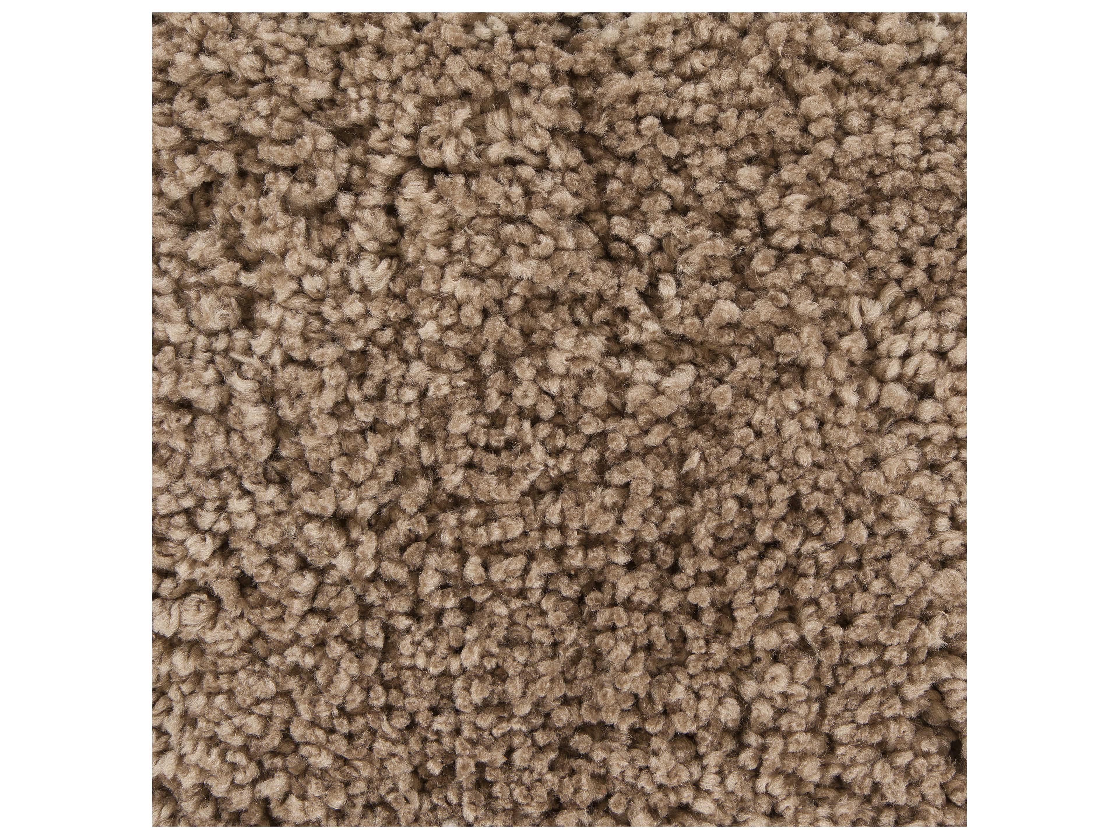 Chandra Bella Shag Area Rug