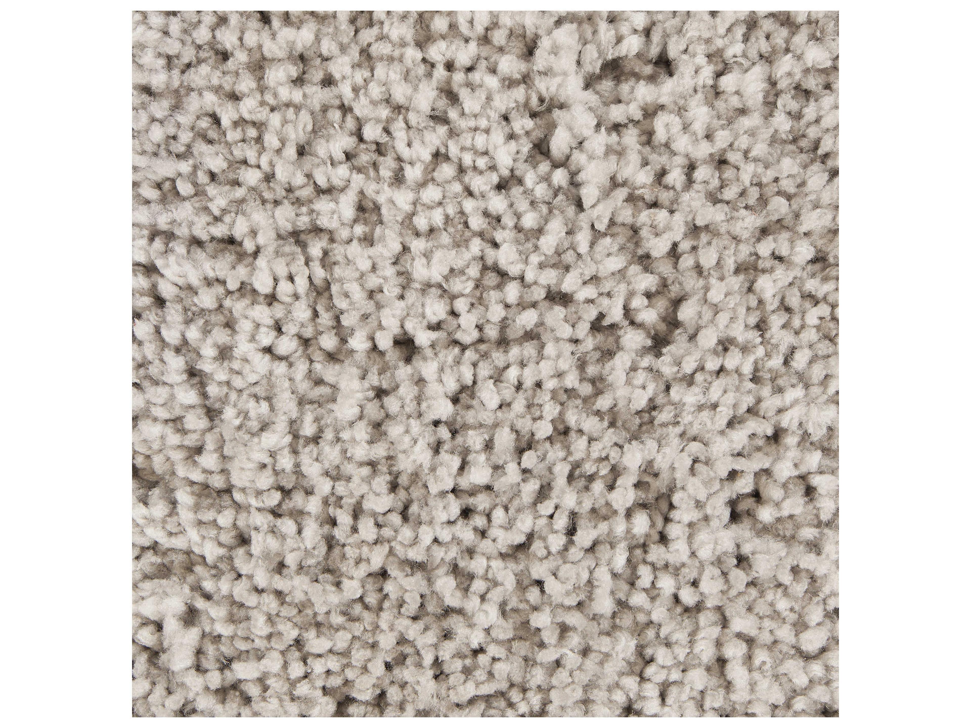 Chandra Bella Shag Area Rug