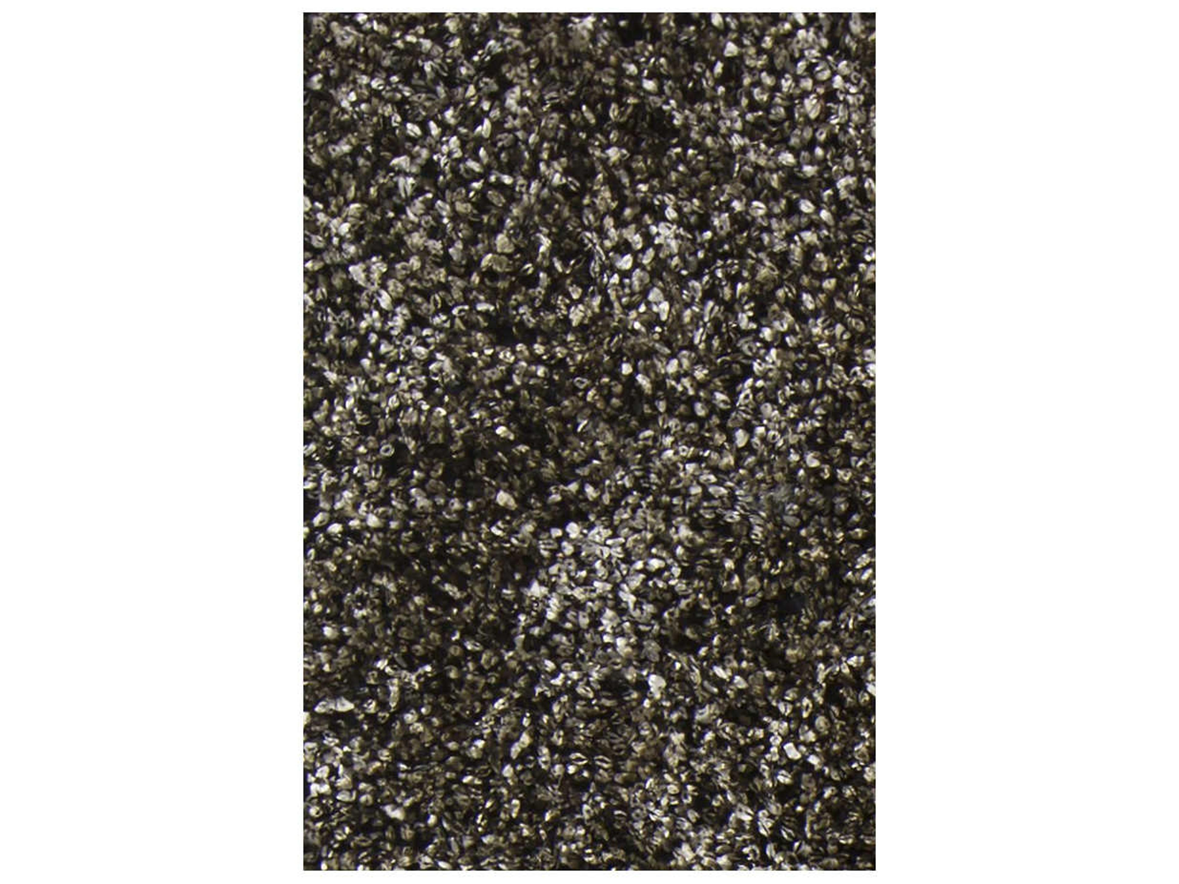 Chandra Blossom Shag Area Rug