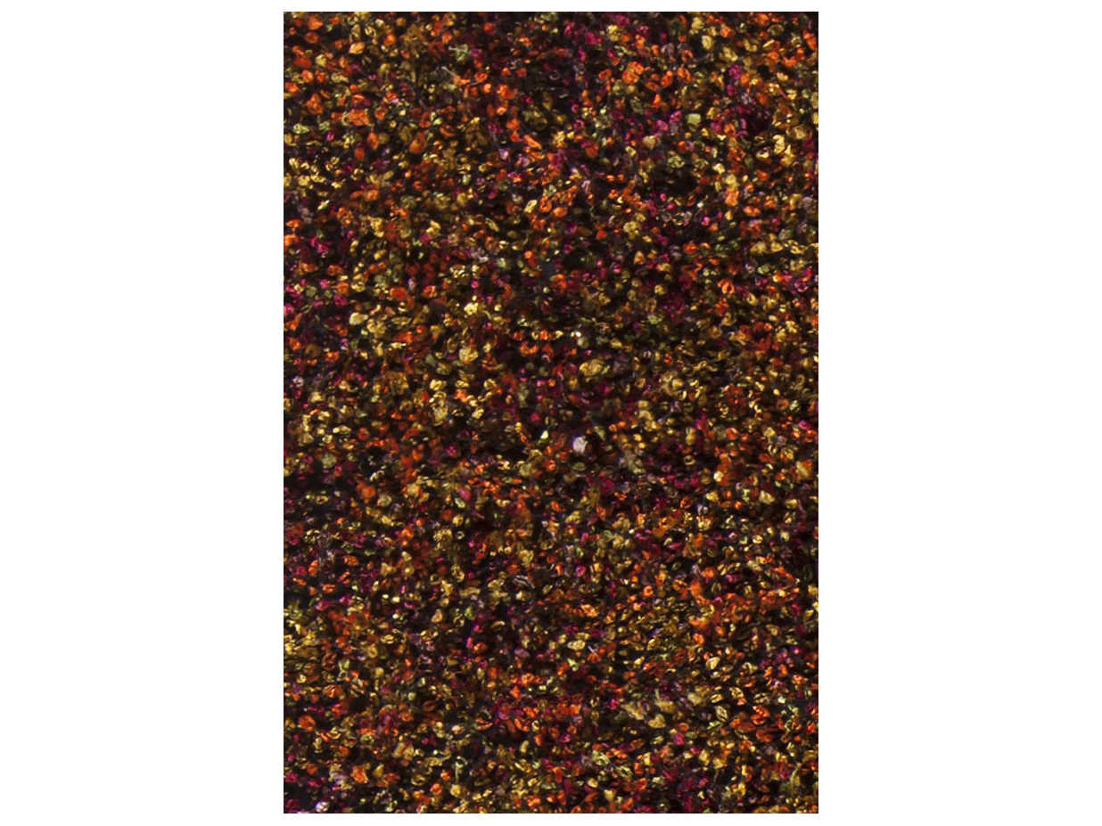 Chandra Blossom Shag Area Rug