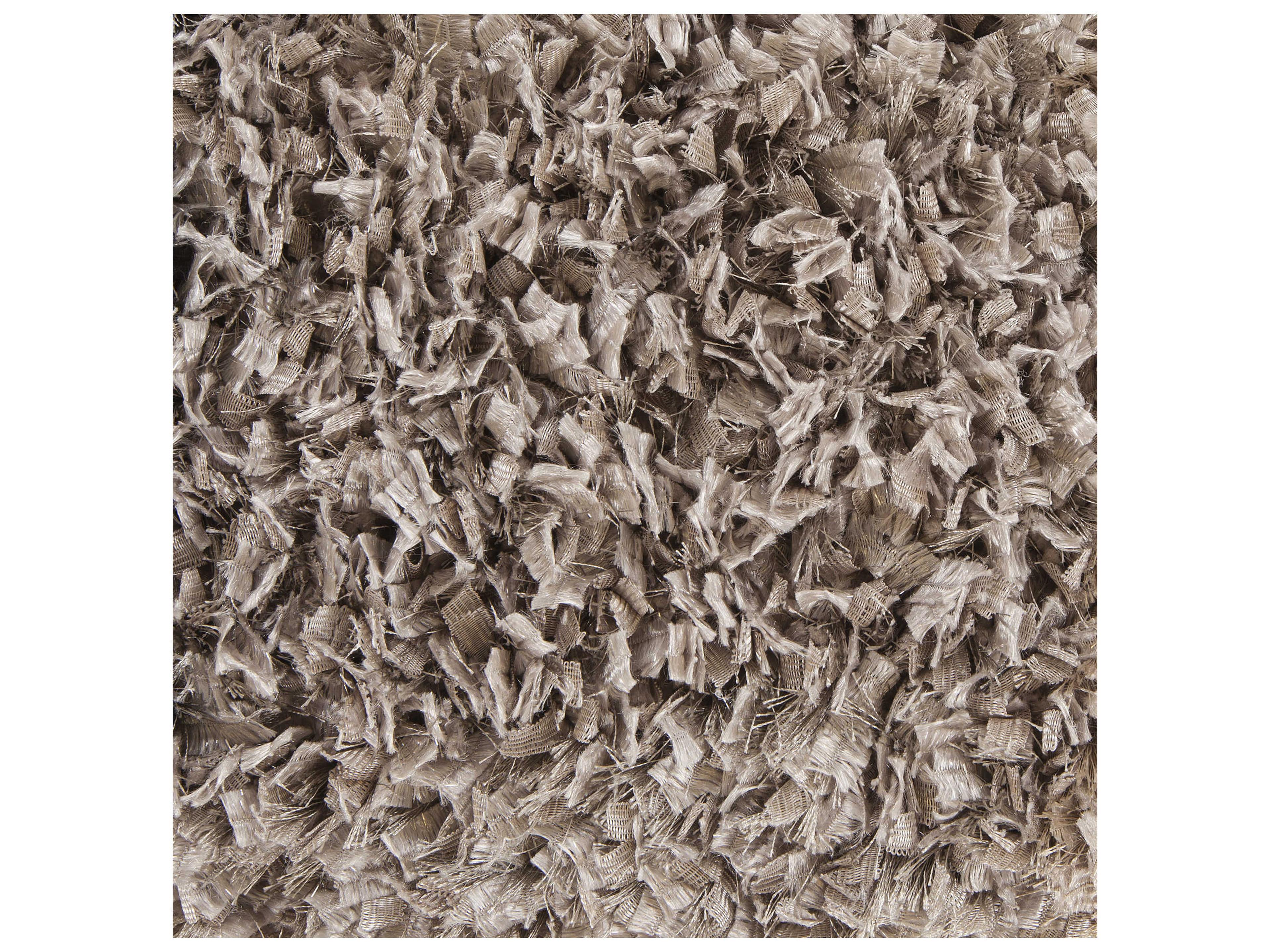 Chandra Bolero Shag Area Rug