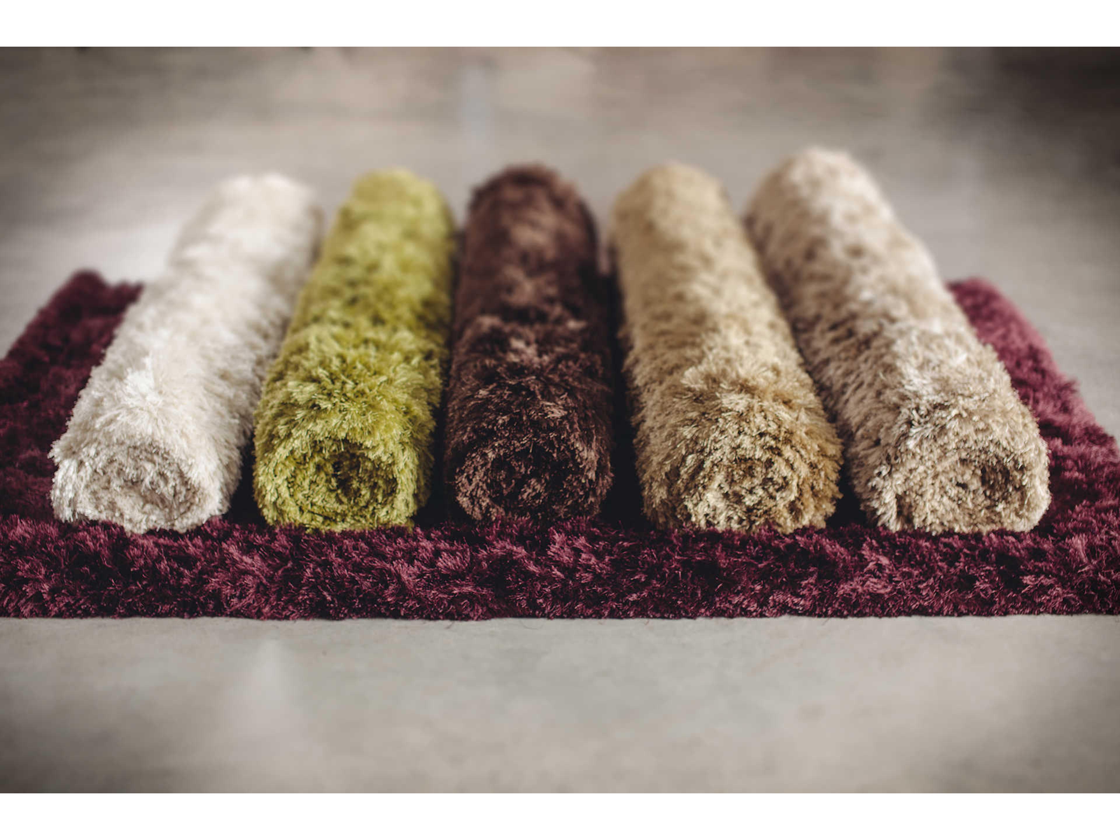 Chandra Celecot Shag Area Rug