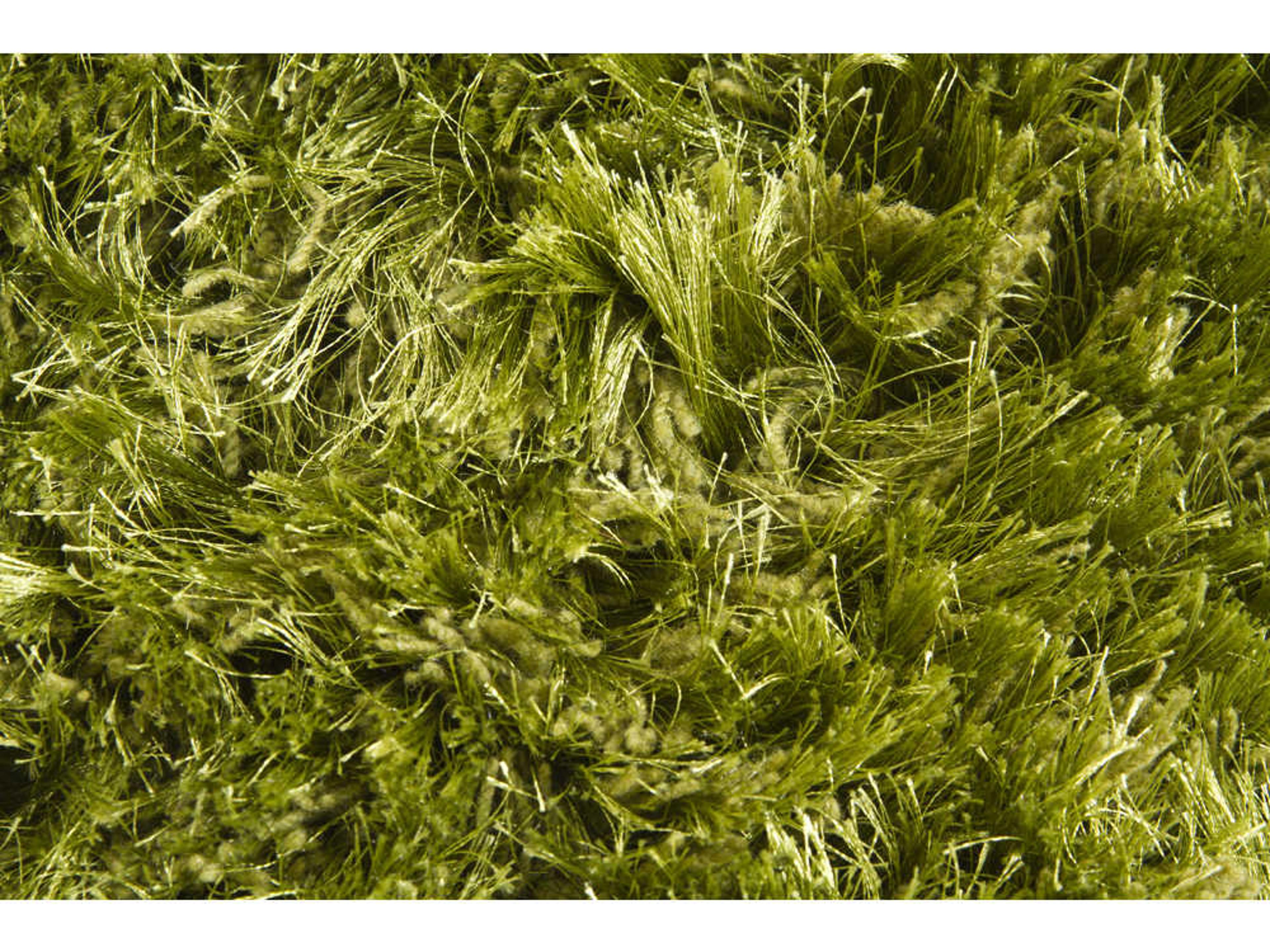 Chandra Celecot Shag Area Rug