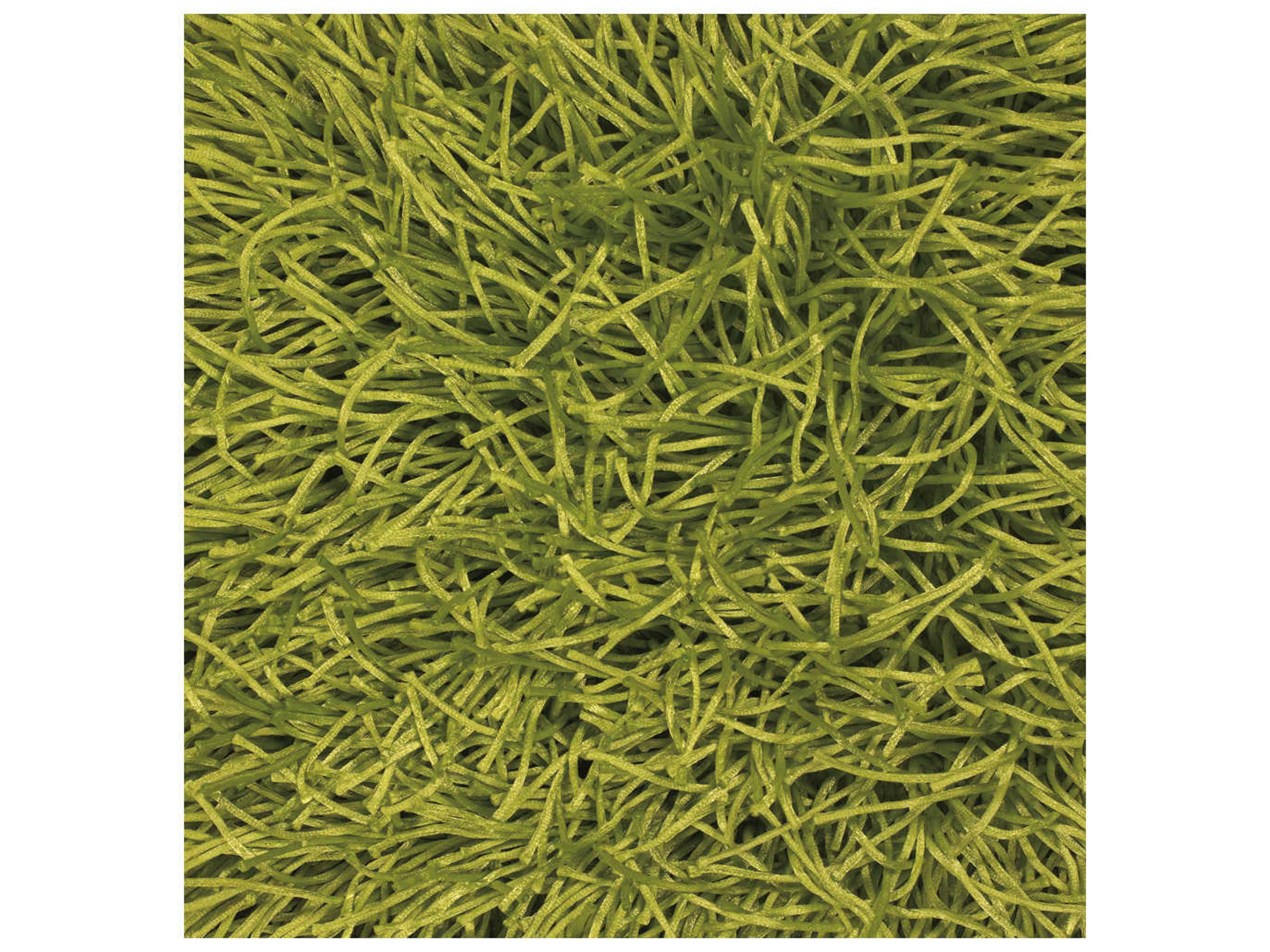 Chandra Duke Shag Area Rug