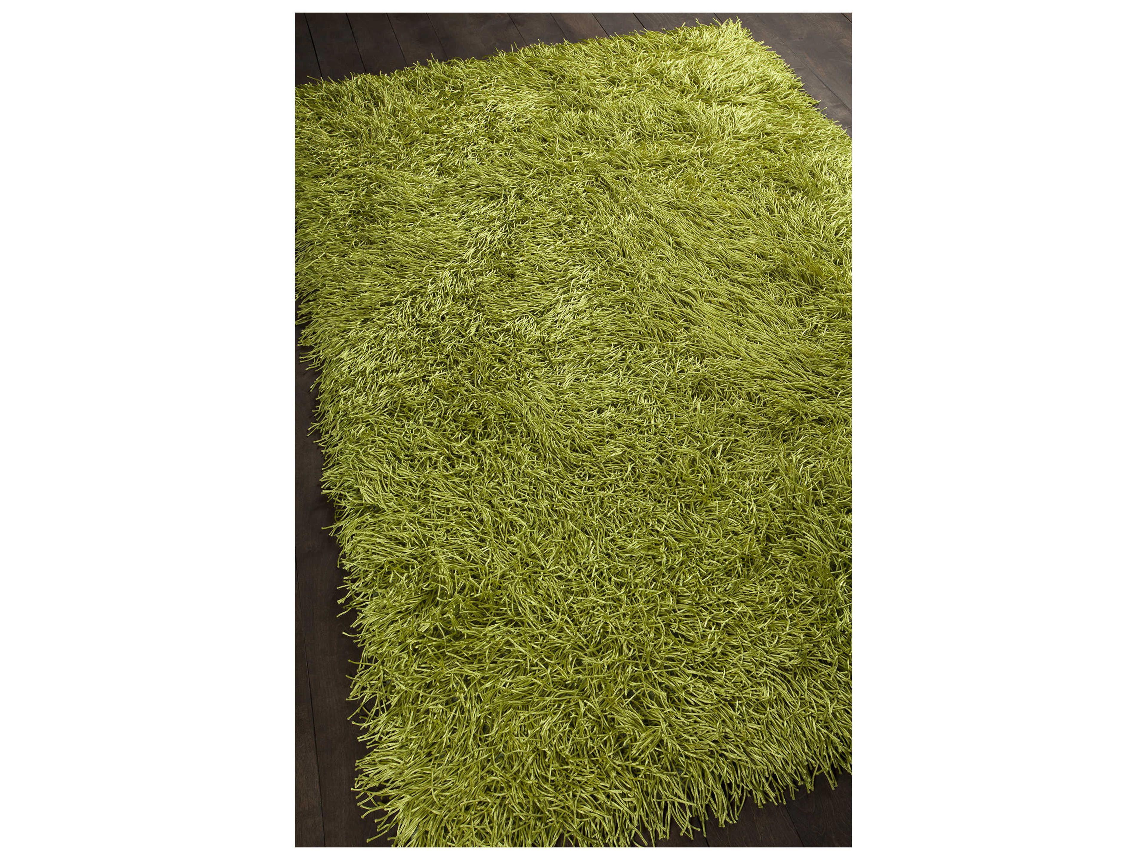 Chandra Duke Shag Area Rug