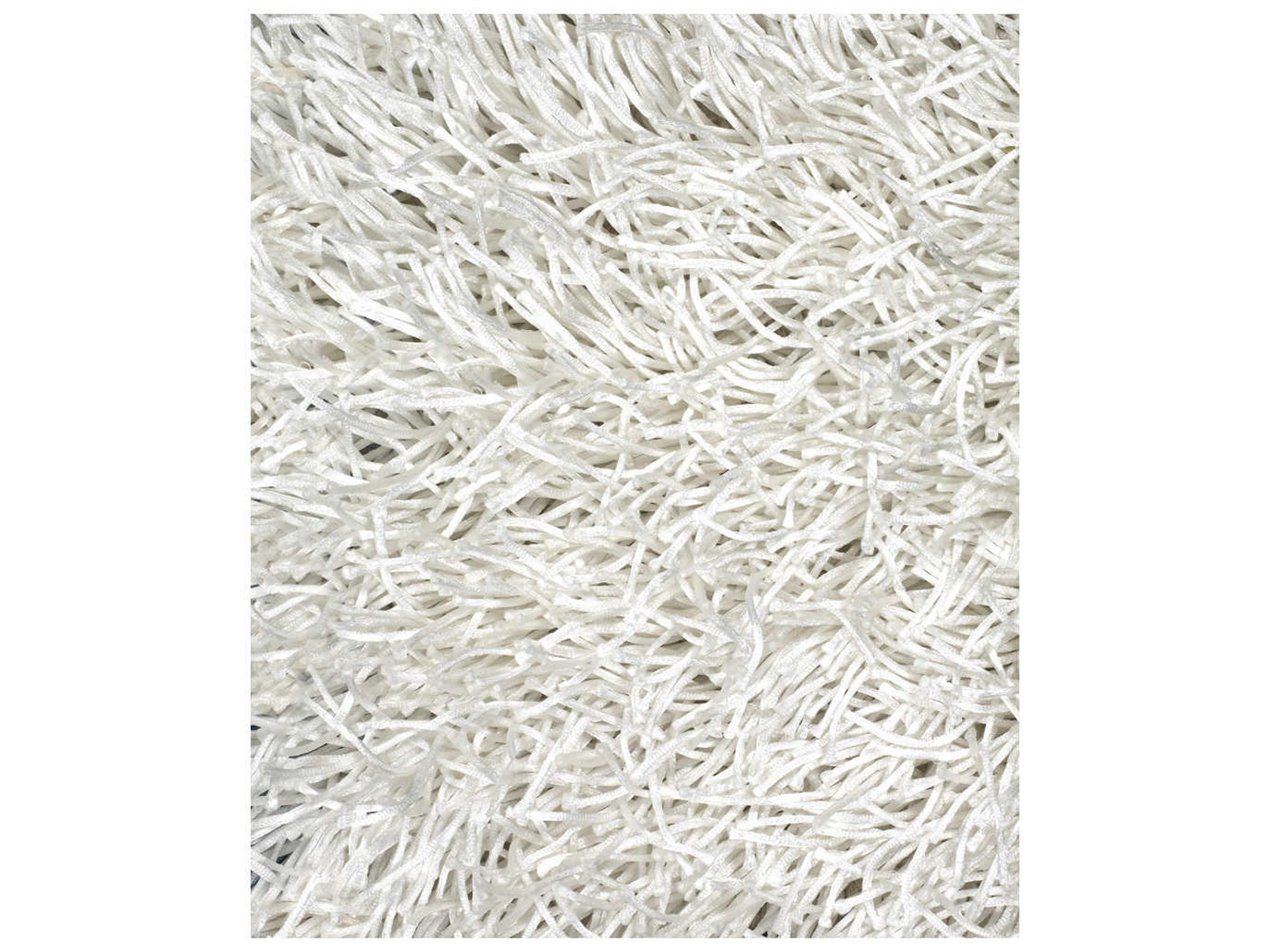 Chandra Duke Shag Area Rug