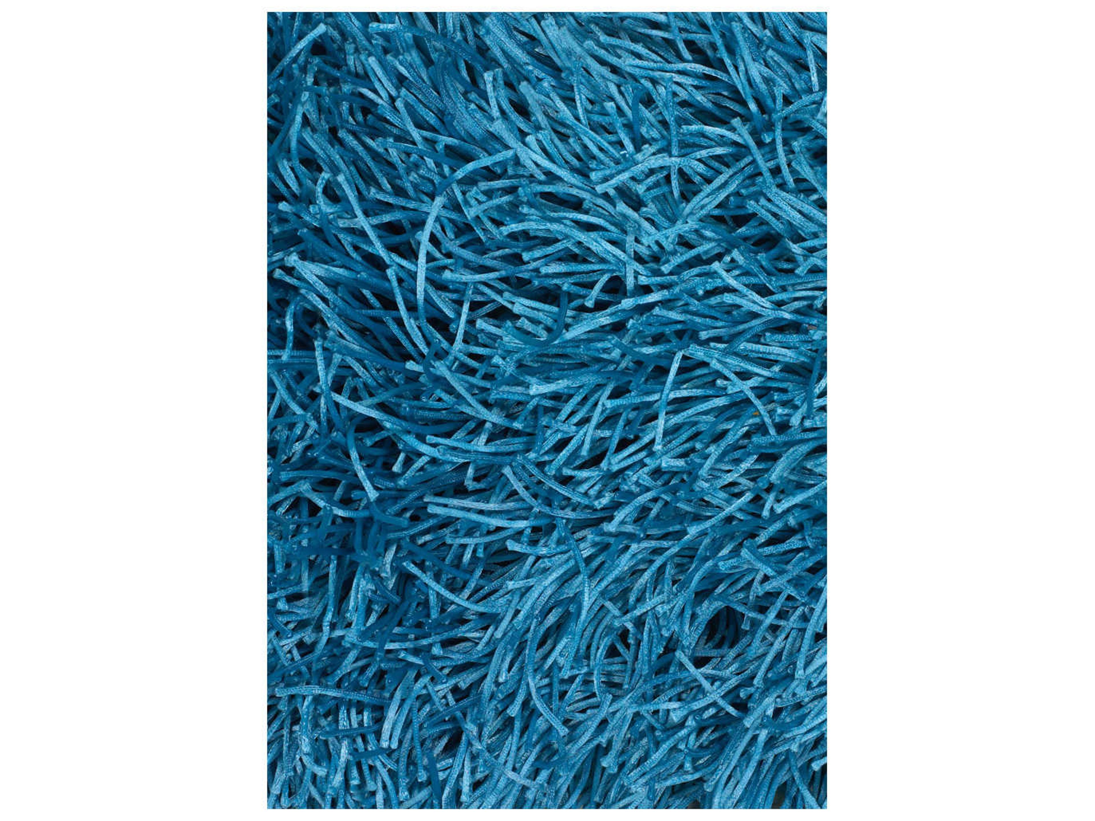 Chandra Duke Shag Area Rug