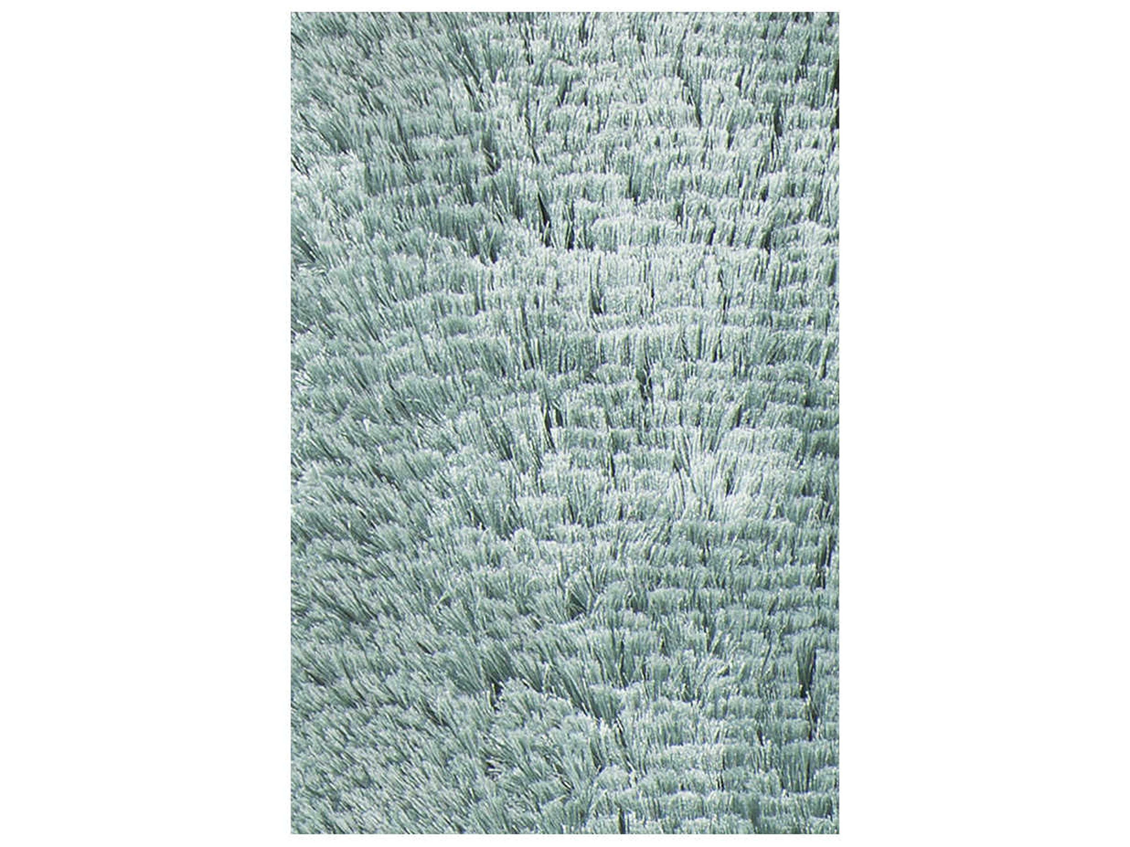 Chandra Giulia Shag Area Rug