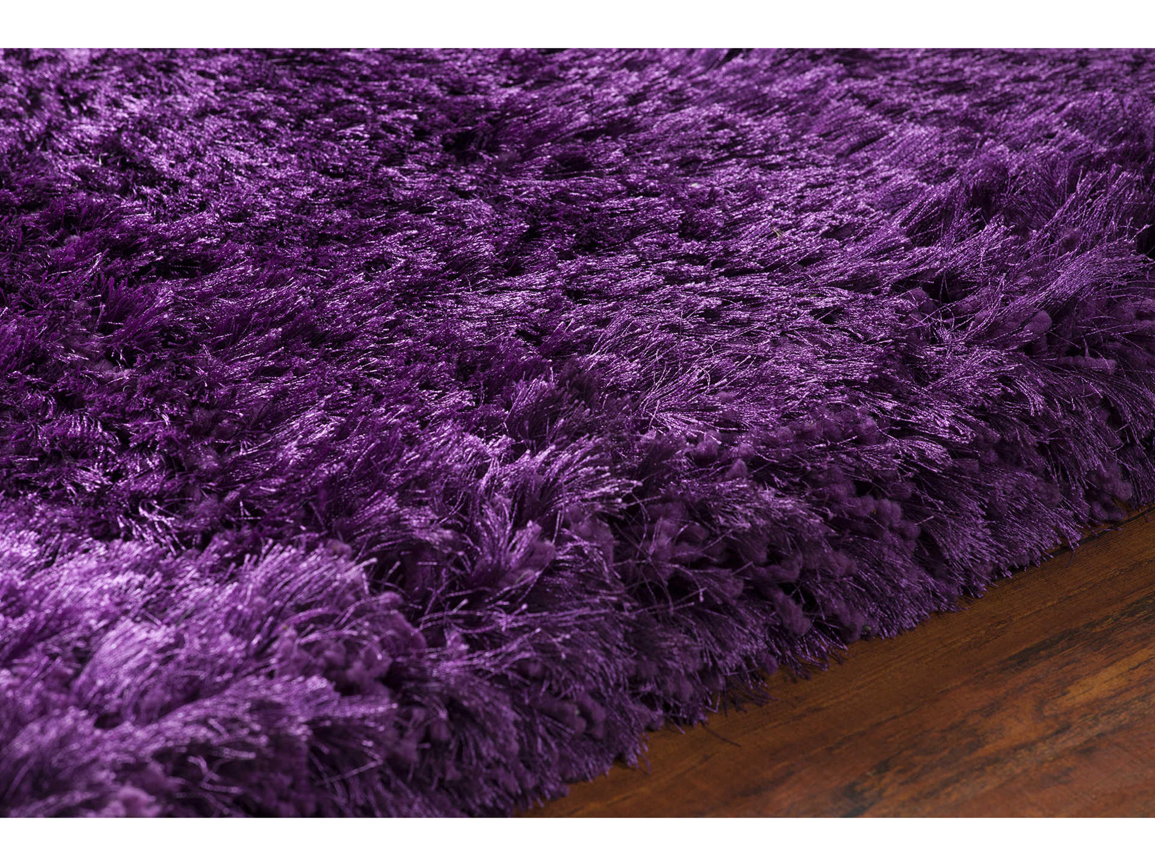 Chandra Giulia Shag Area Rug