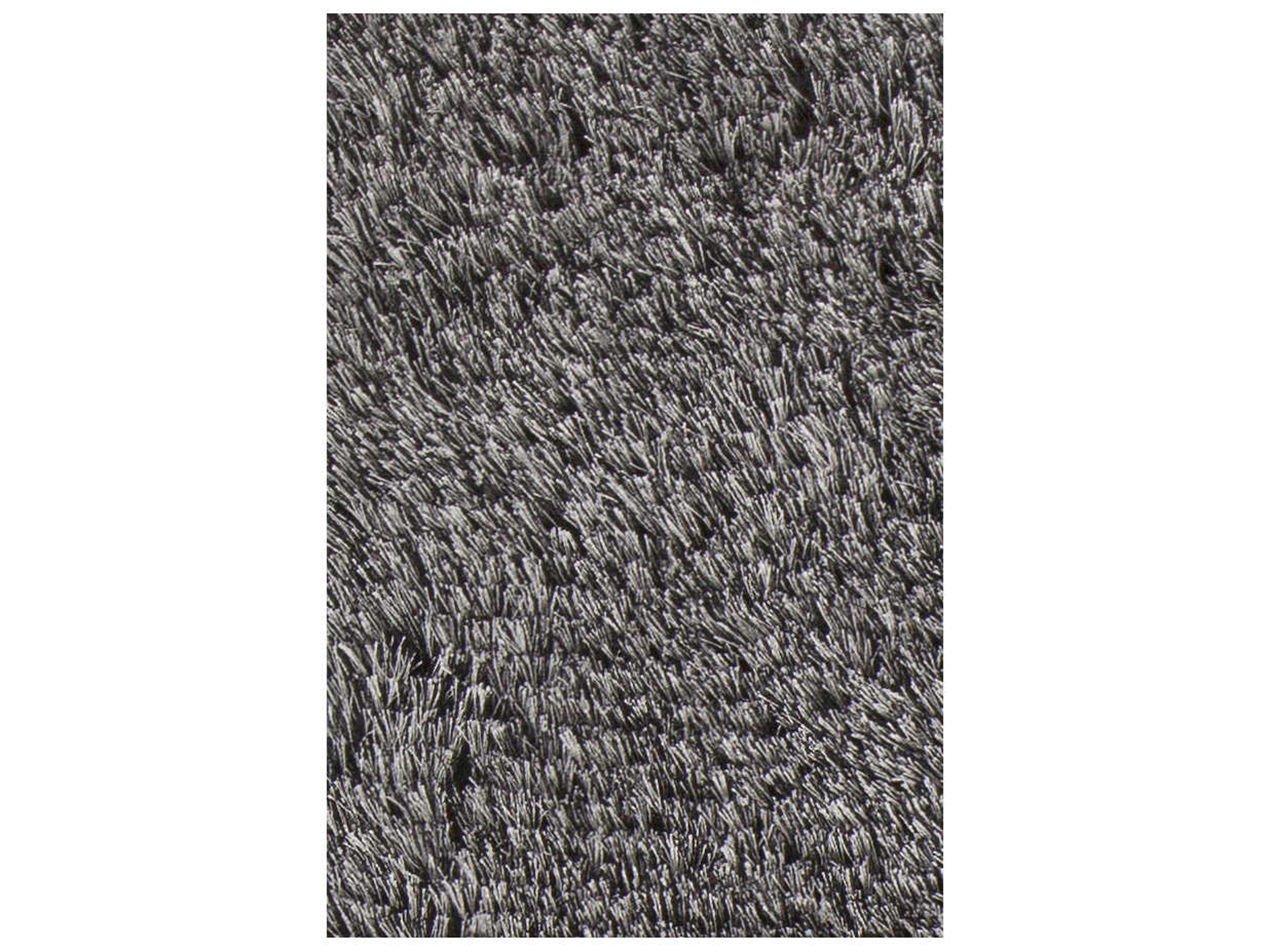 Chandra Joni Shag Area Rug