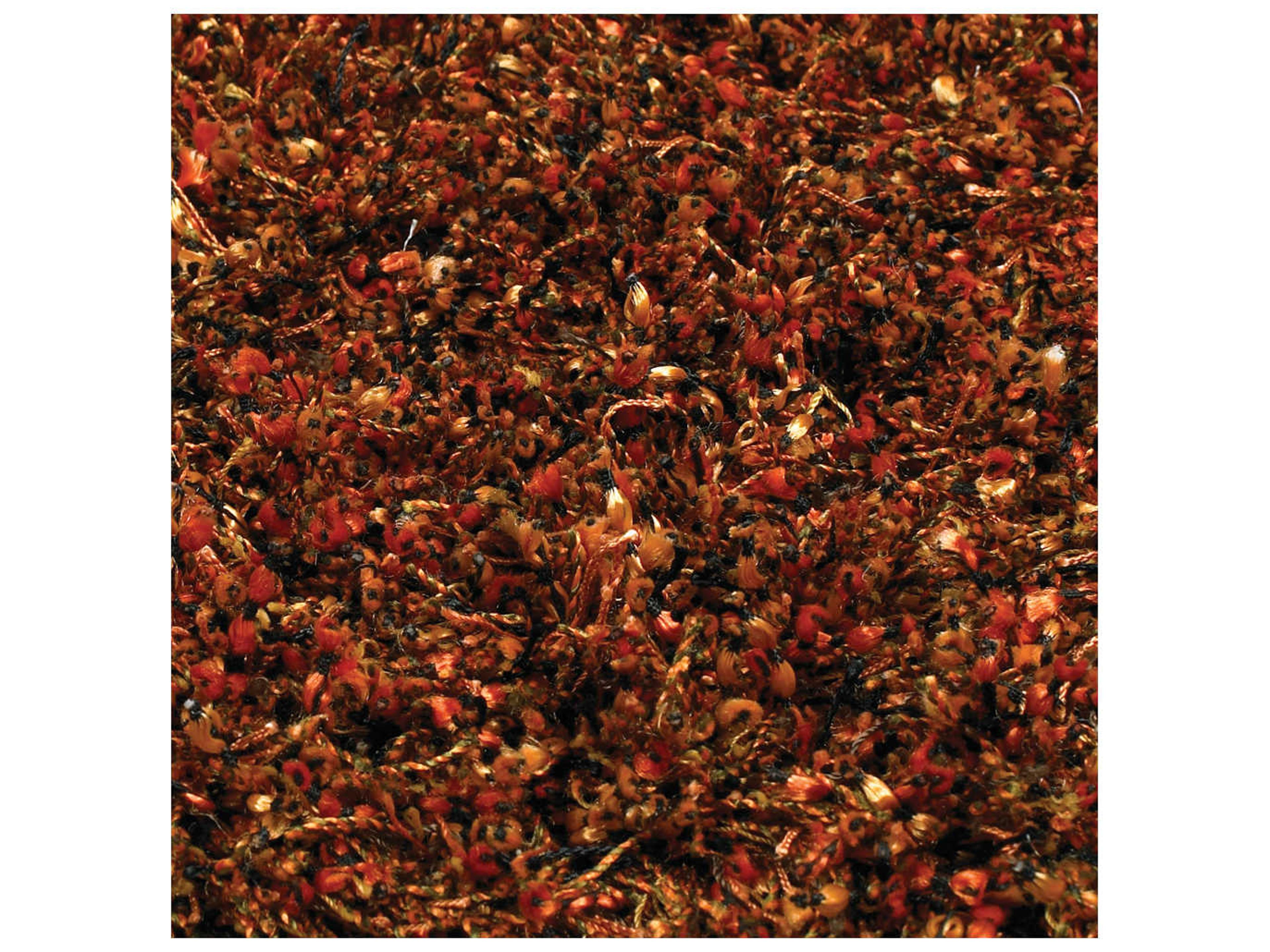 Chandra Mai Shag Area Rug