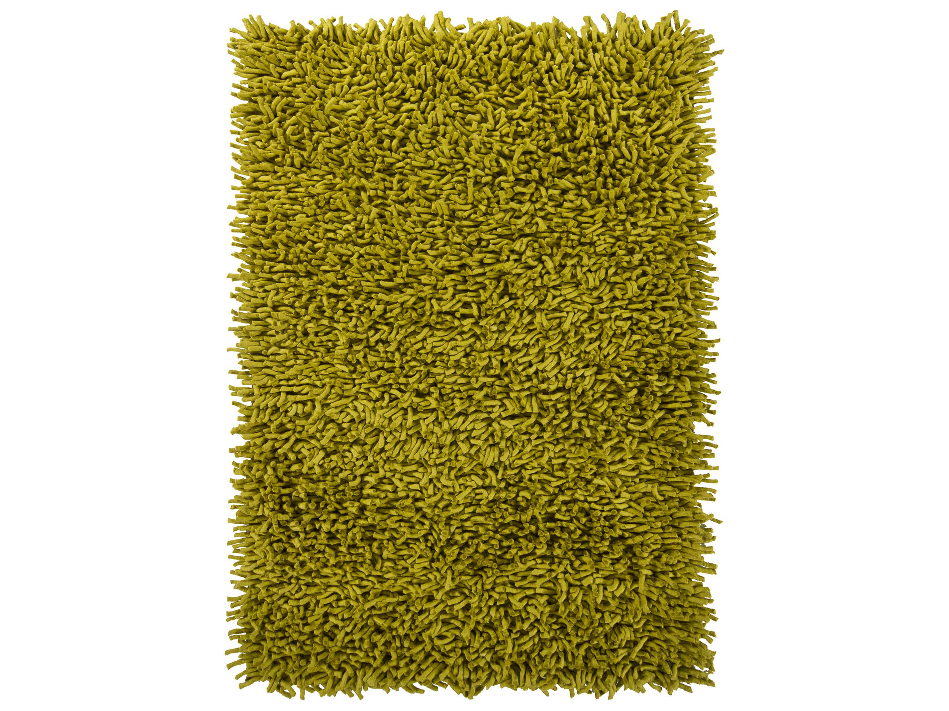 Chandra Montaro Shag Area Rug