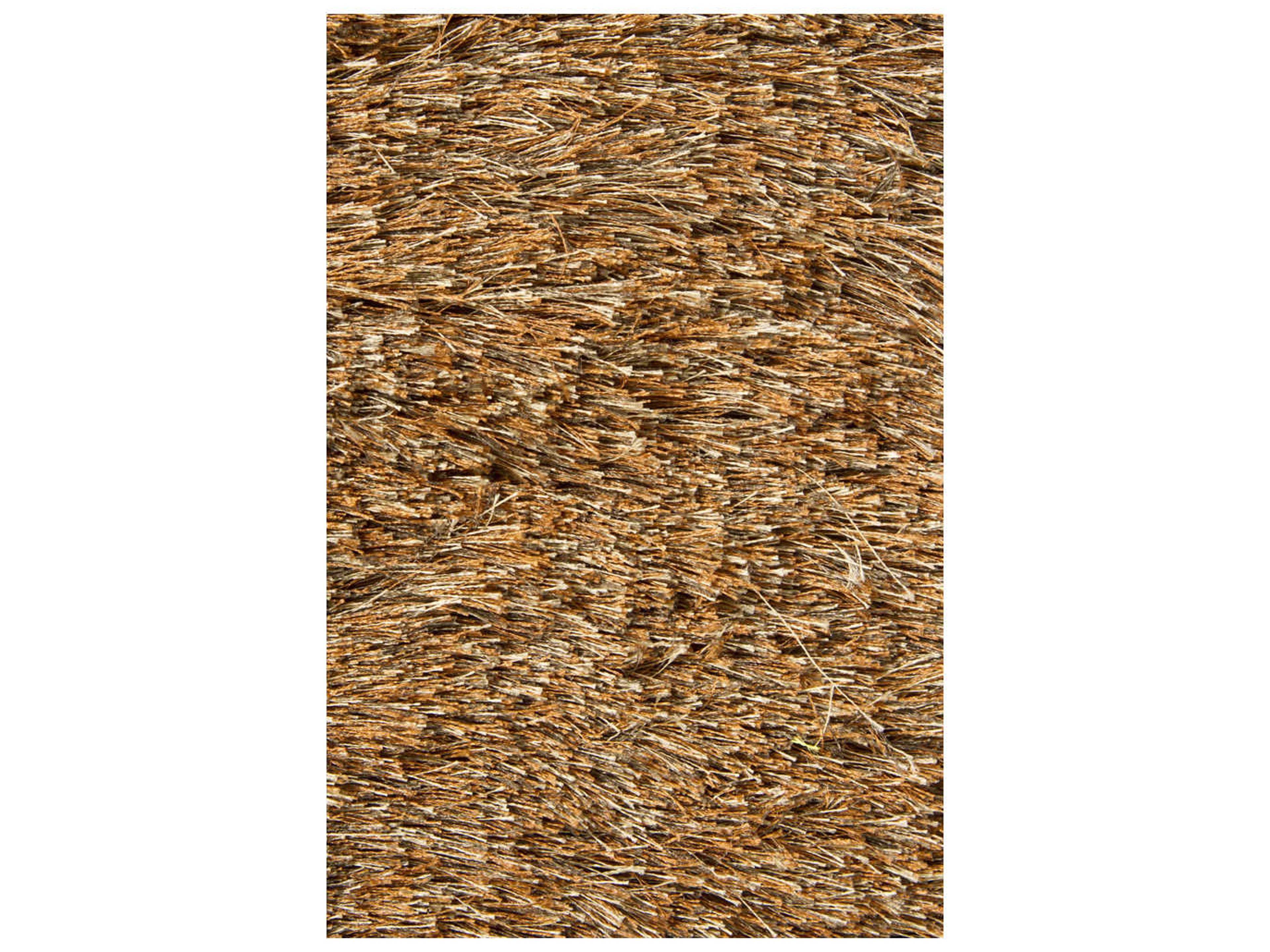 Chandra Naya Shag Area Rug