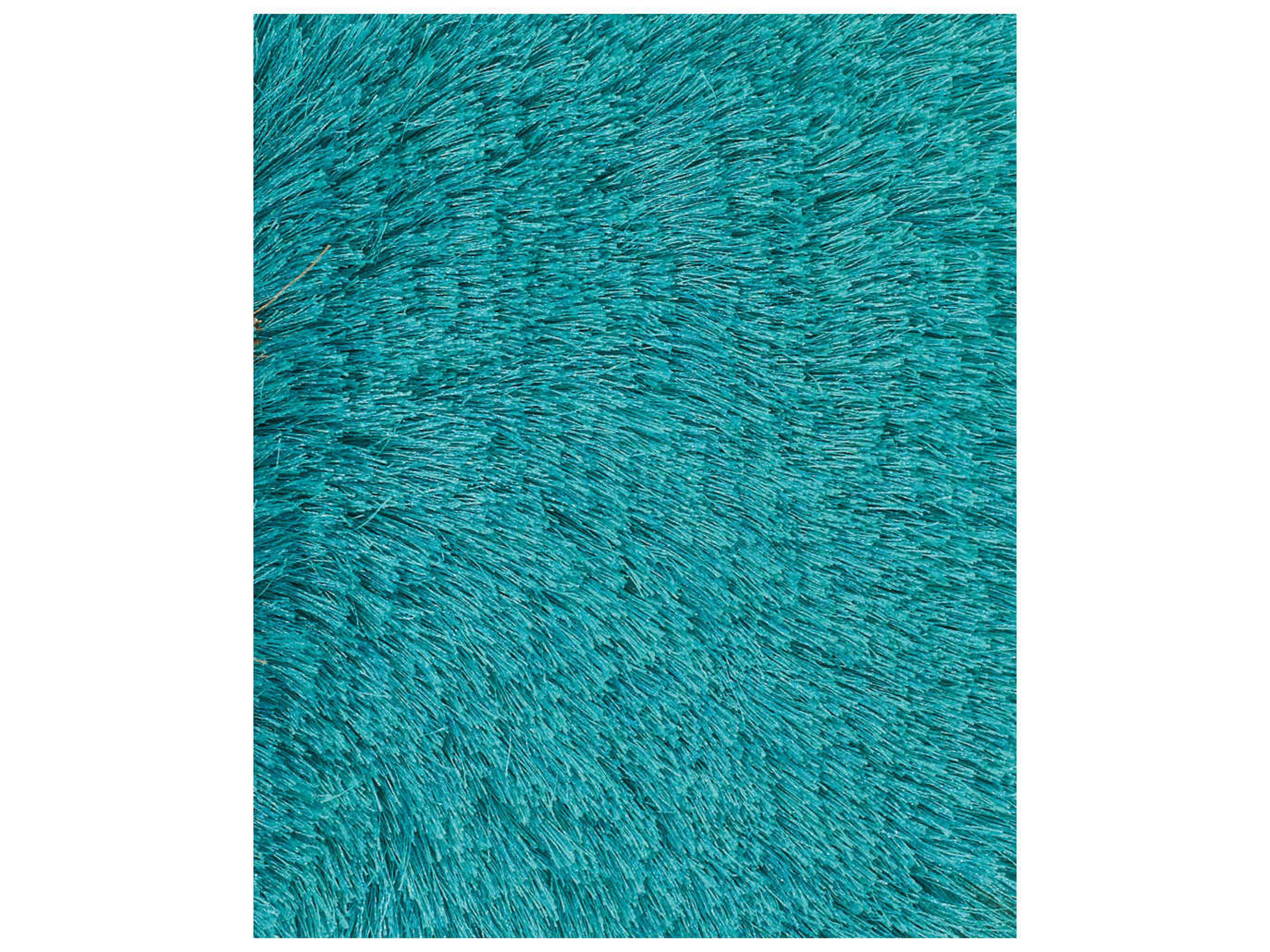 Chandra Naya Shag Area Rug