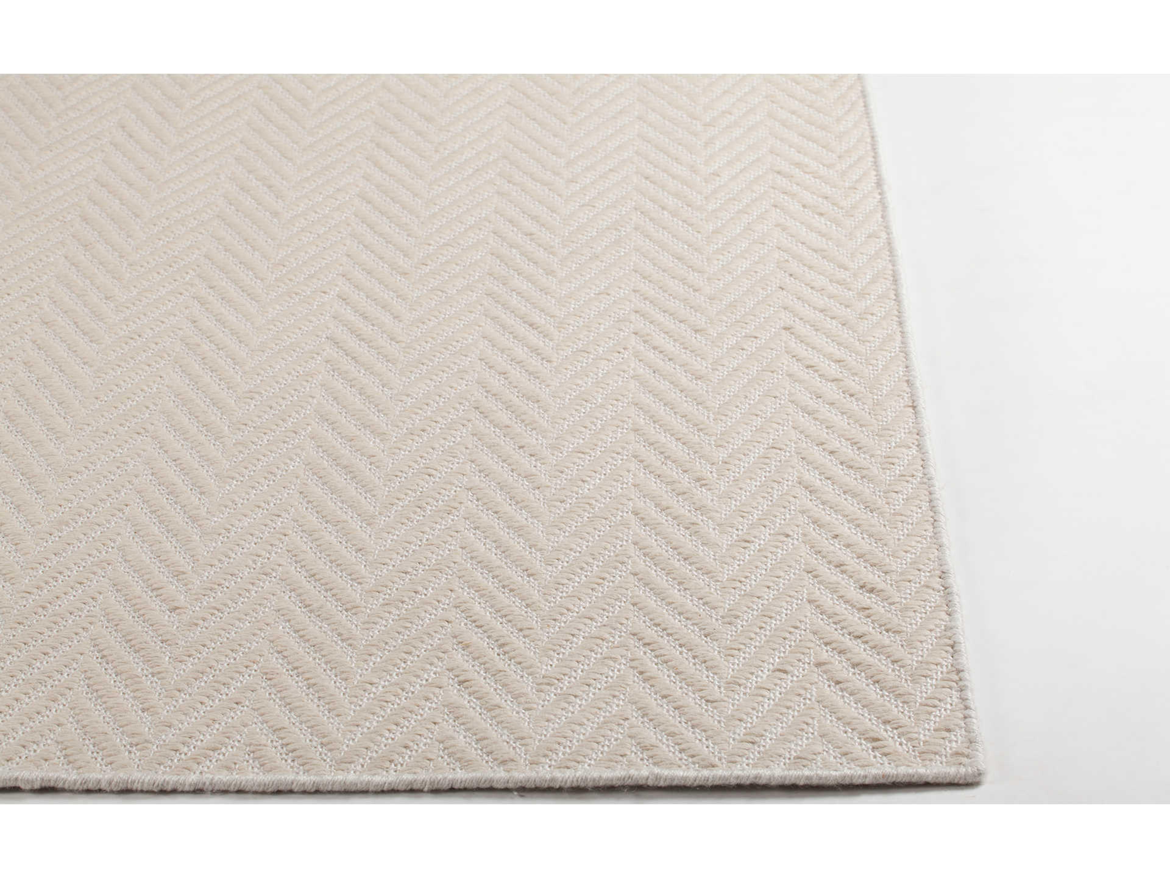 Chandra Paisley Chevron Area Rug