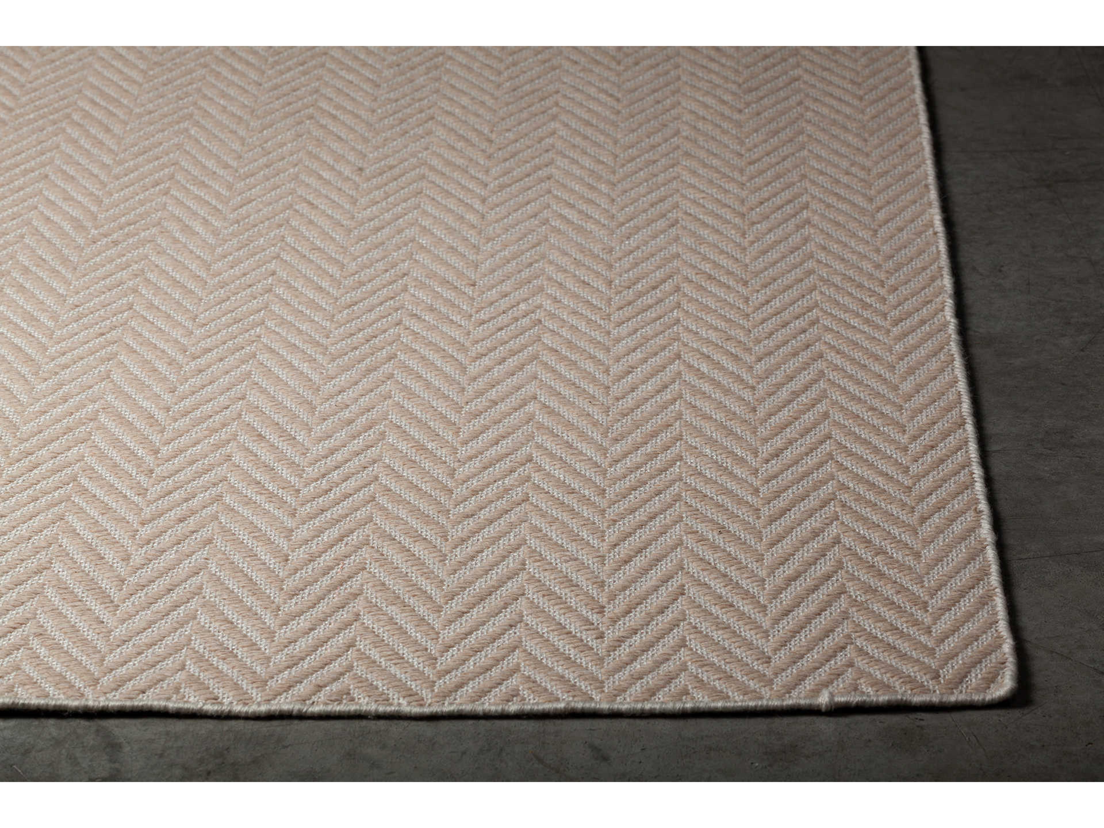 Chandra Paisley Chevron Area Rug