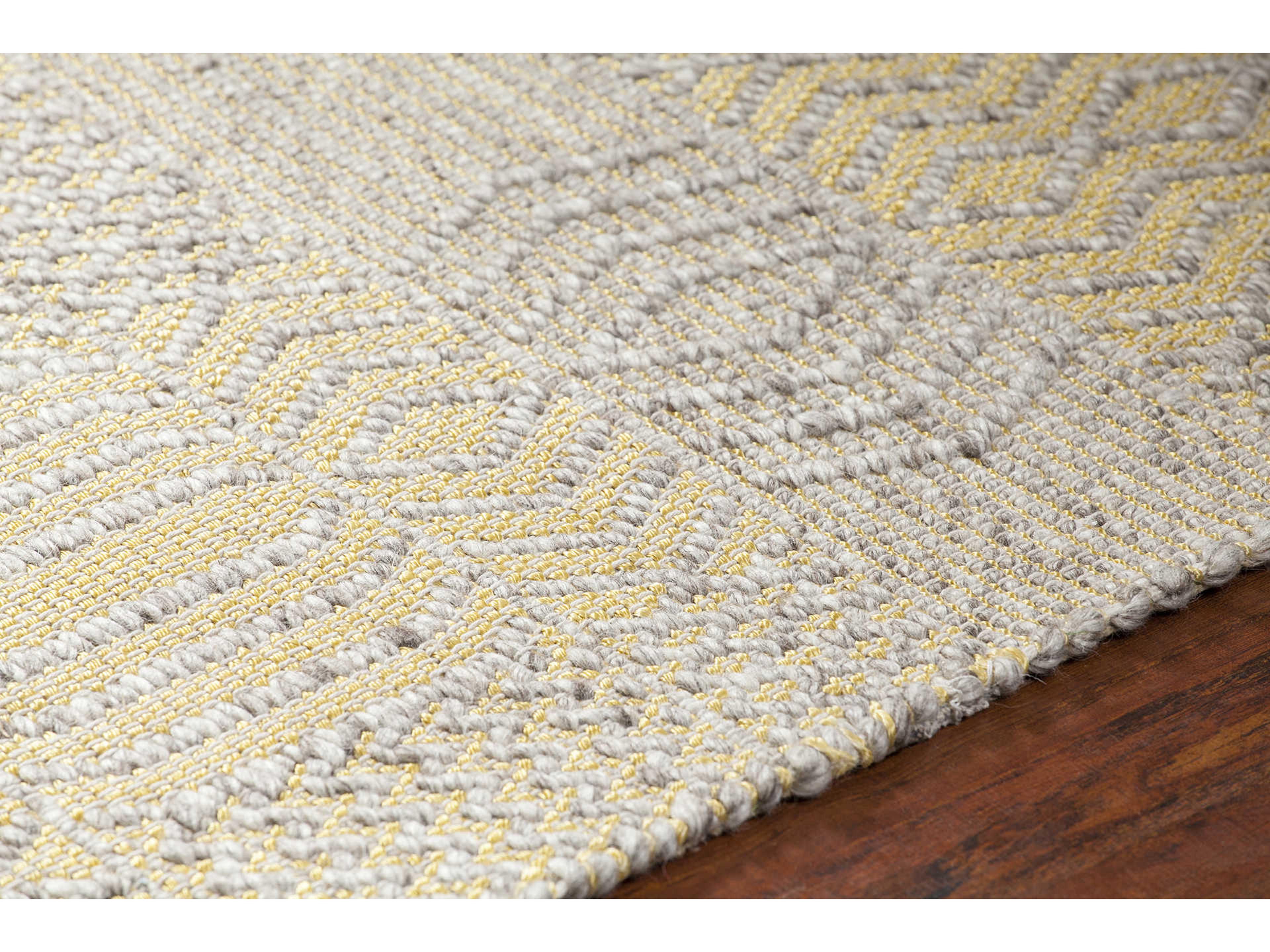 Chandra Salona Geometric Area Rug