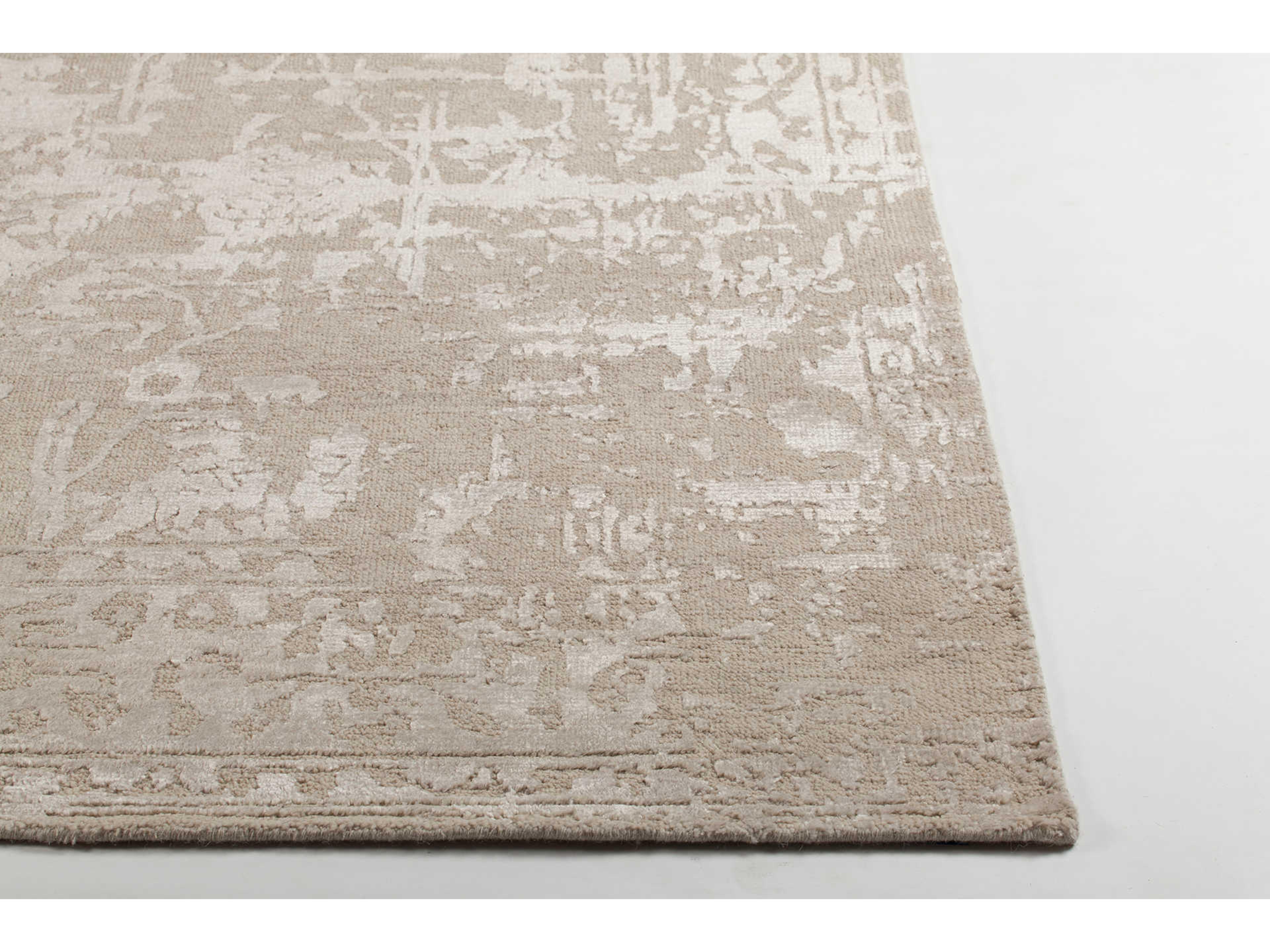 Chandra Sasha Bordered Area Rug