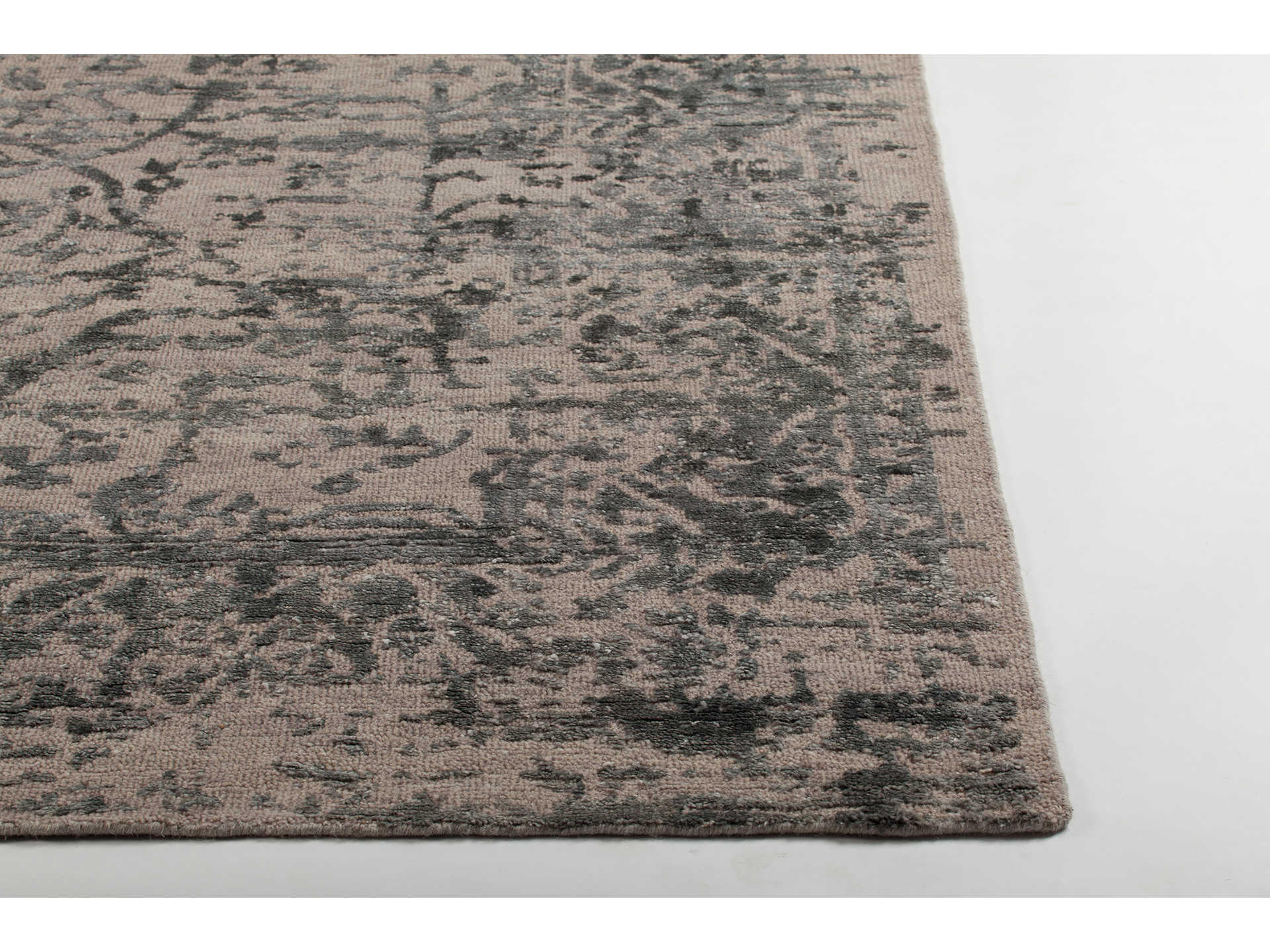 Chandra Sasha Bordered Area Rug