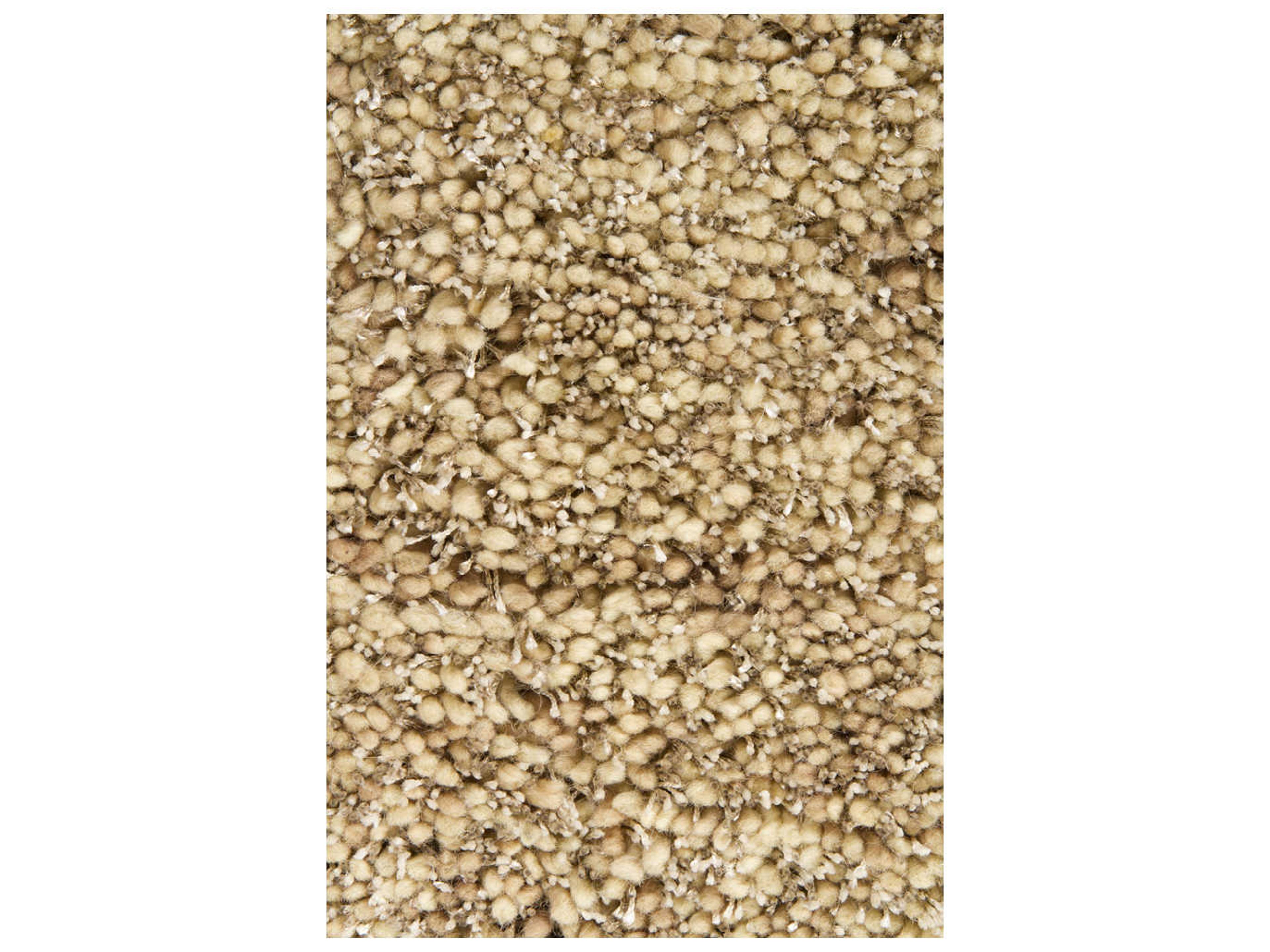 Chandra Sterling Shag Area Rug