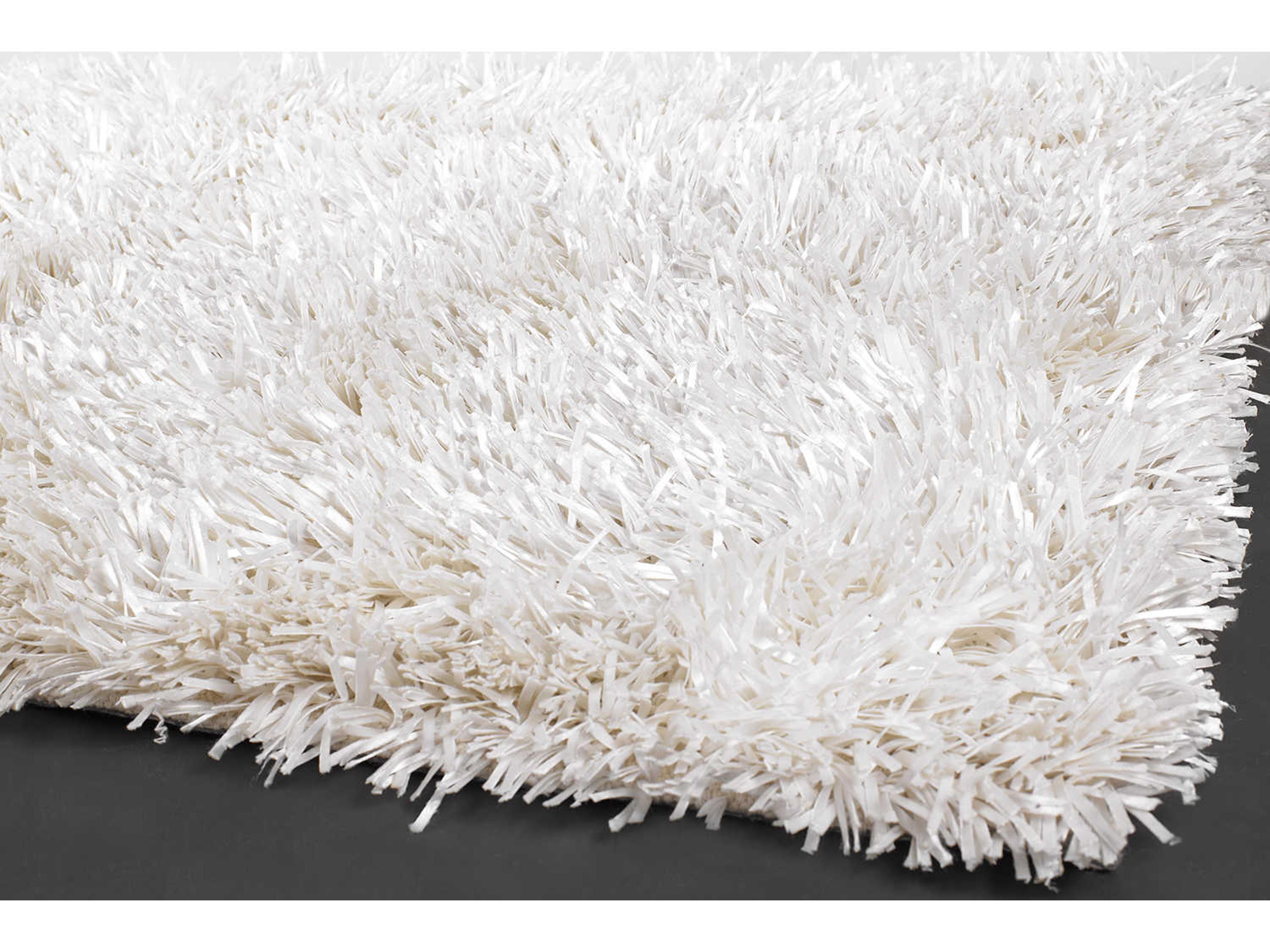 Chandra Tirish Shag Area Rug