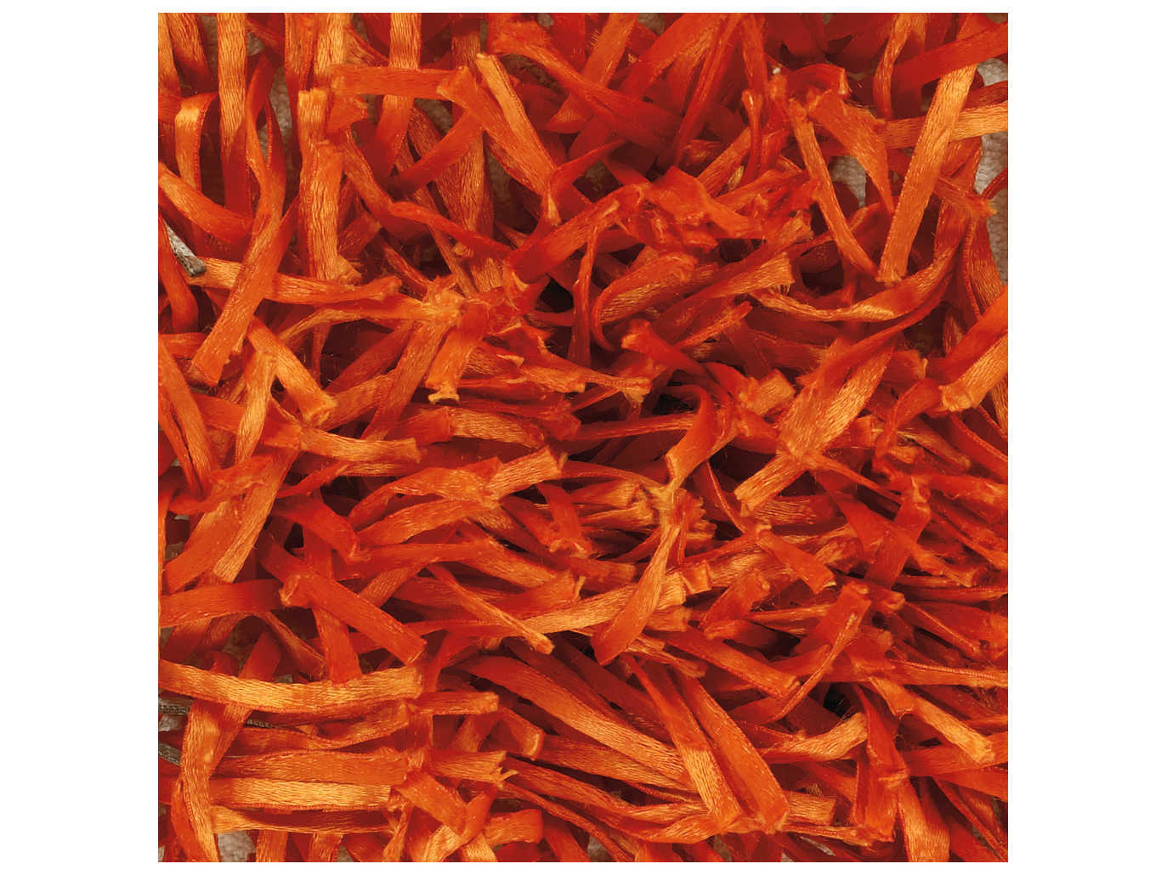 Chandra Tirish Shag Area Rug