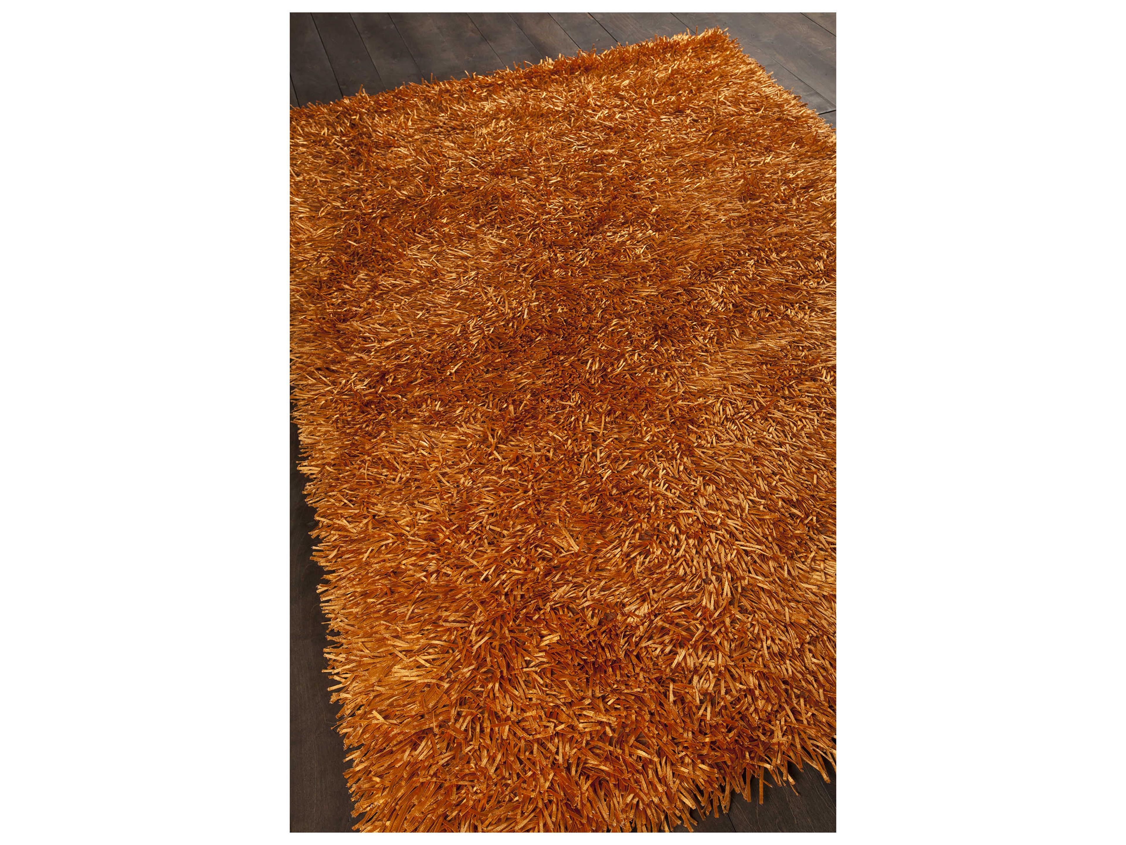 Chandra Tirish Shag Area Rug