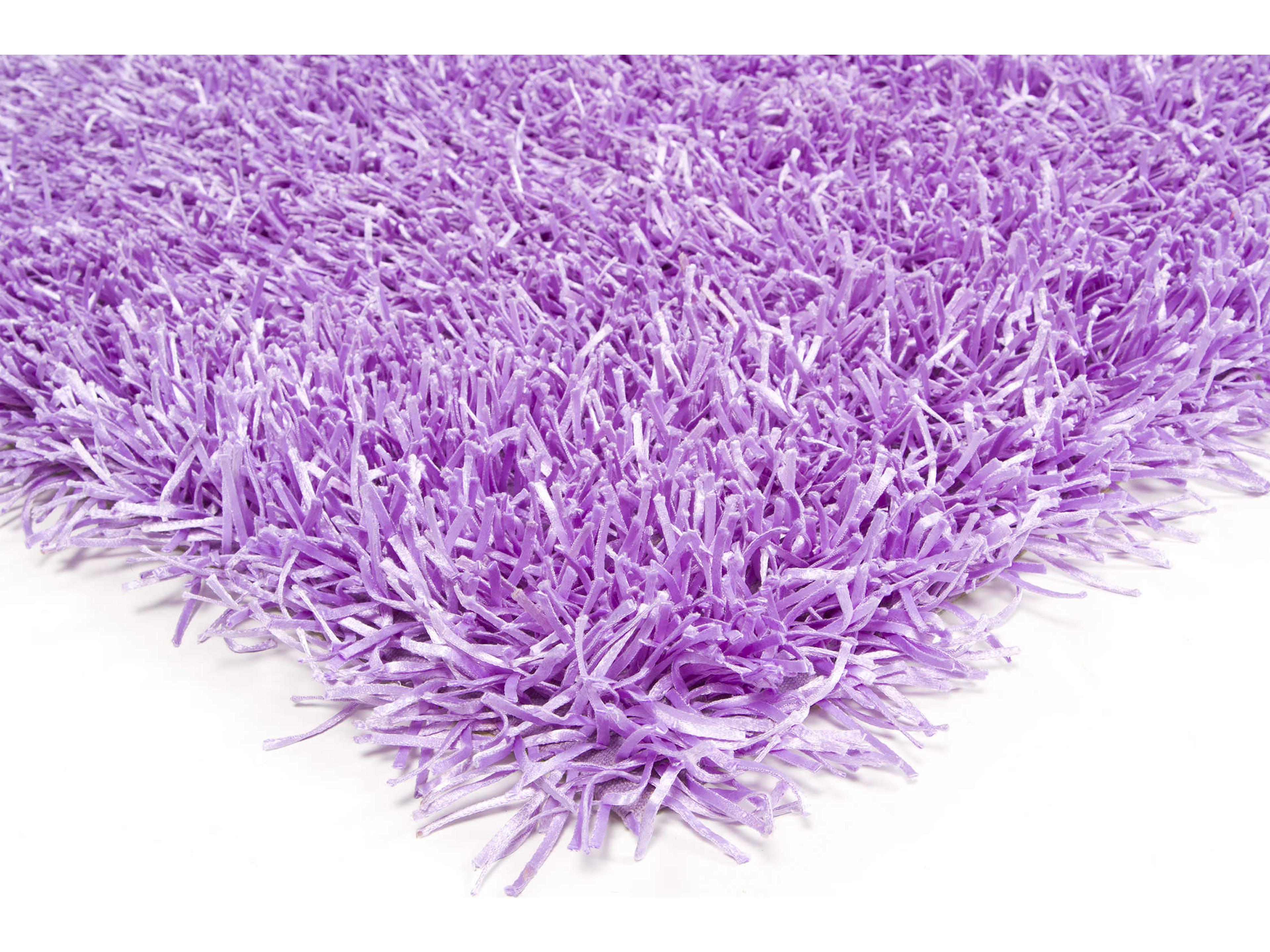 Chandra Tirish Shag Area Rug