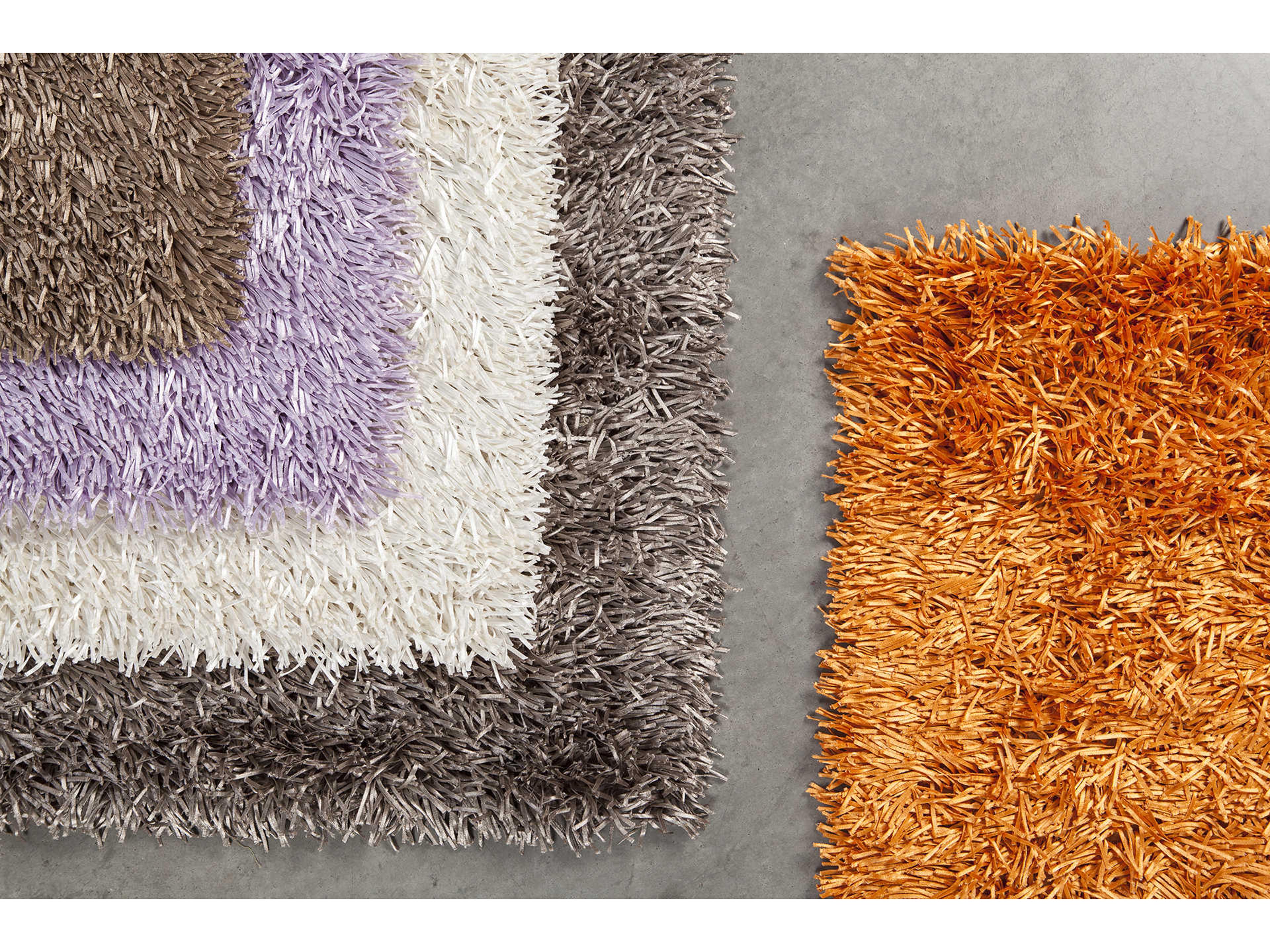 Chandra Tirish Shag Area Rug