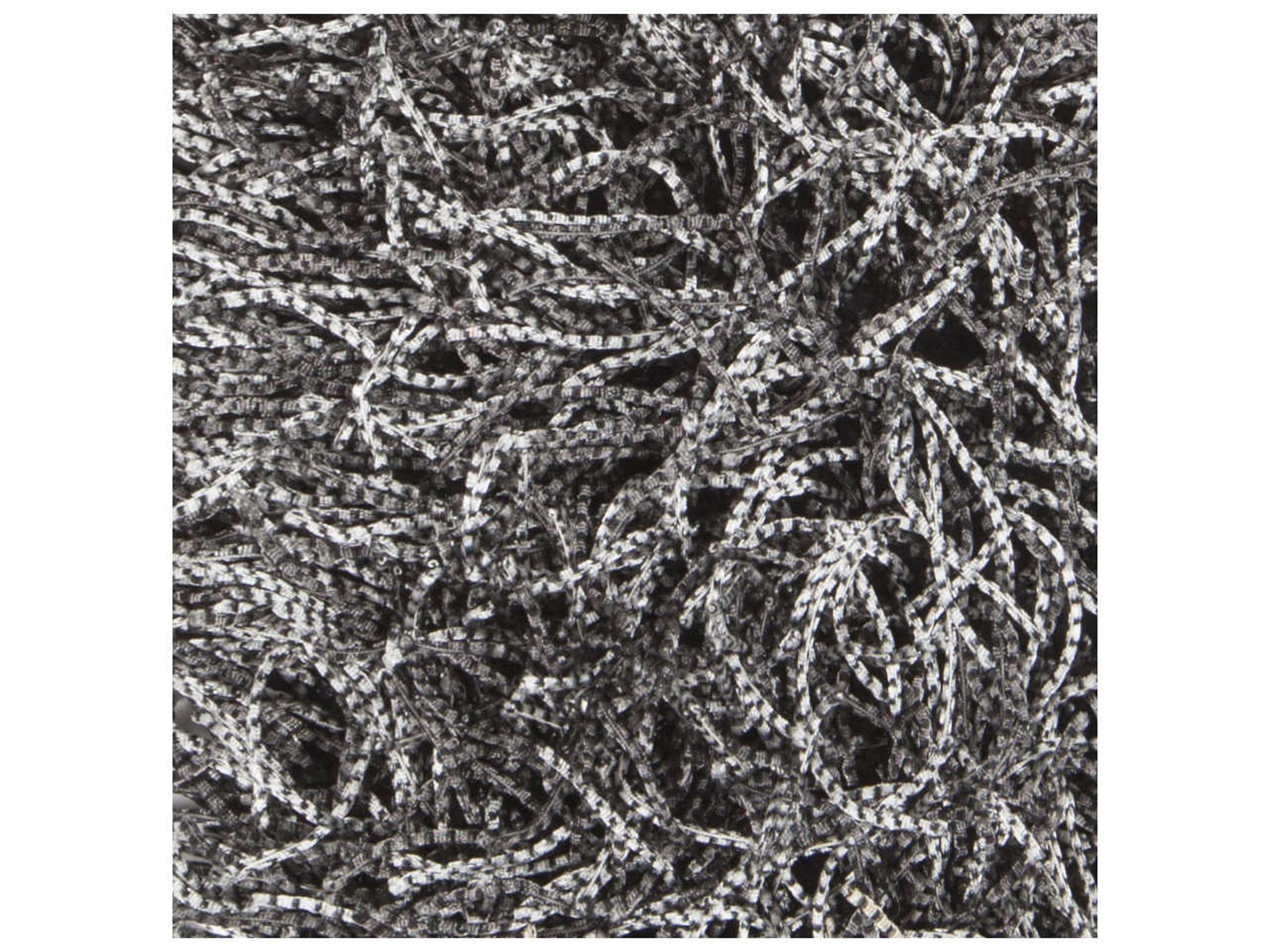 Chandra Tyra Shag Area Rug