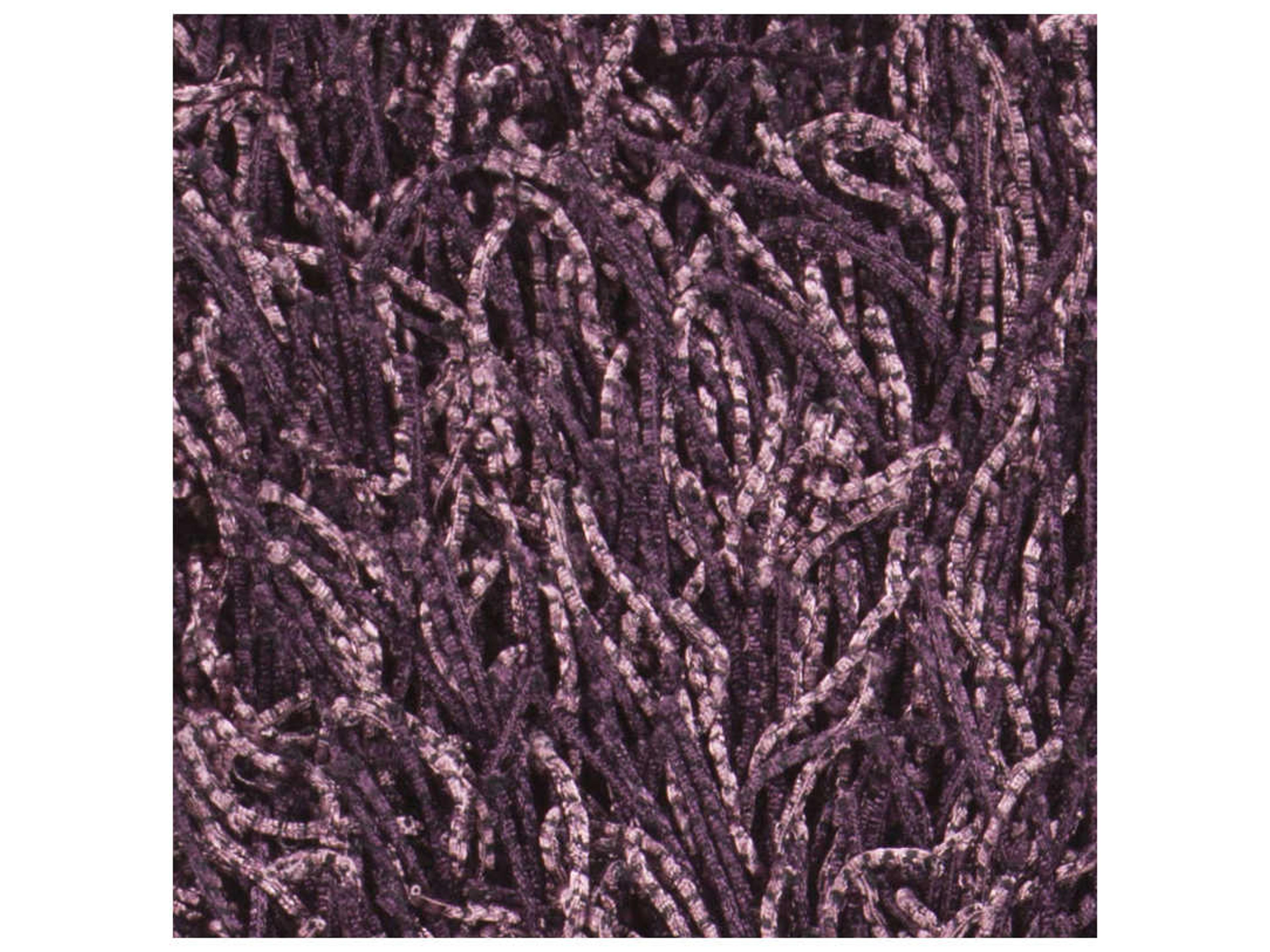 Chandra Tyra Shag Area Rug