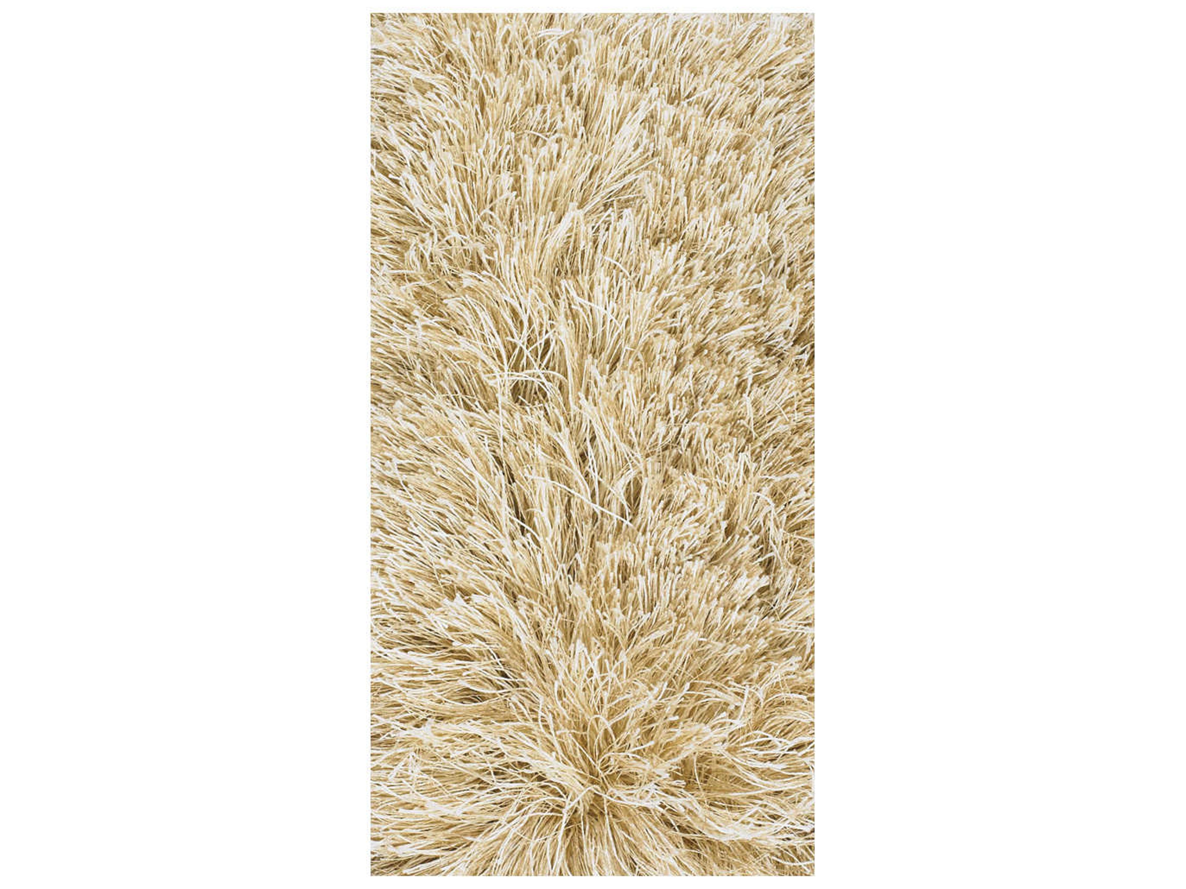 Chandra Vani Shag Area Rug