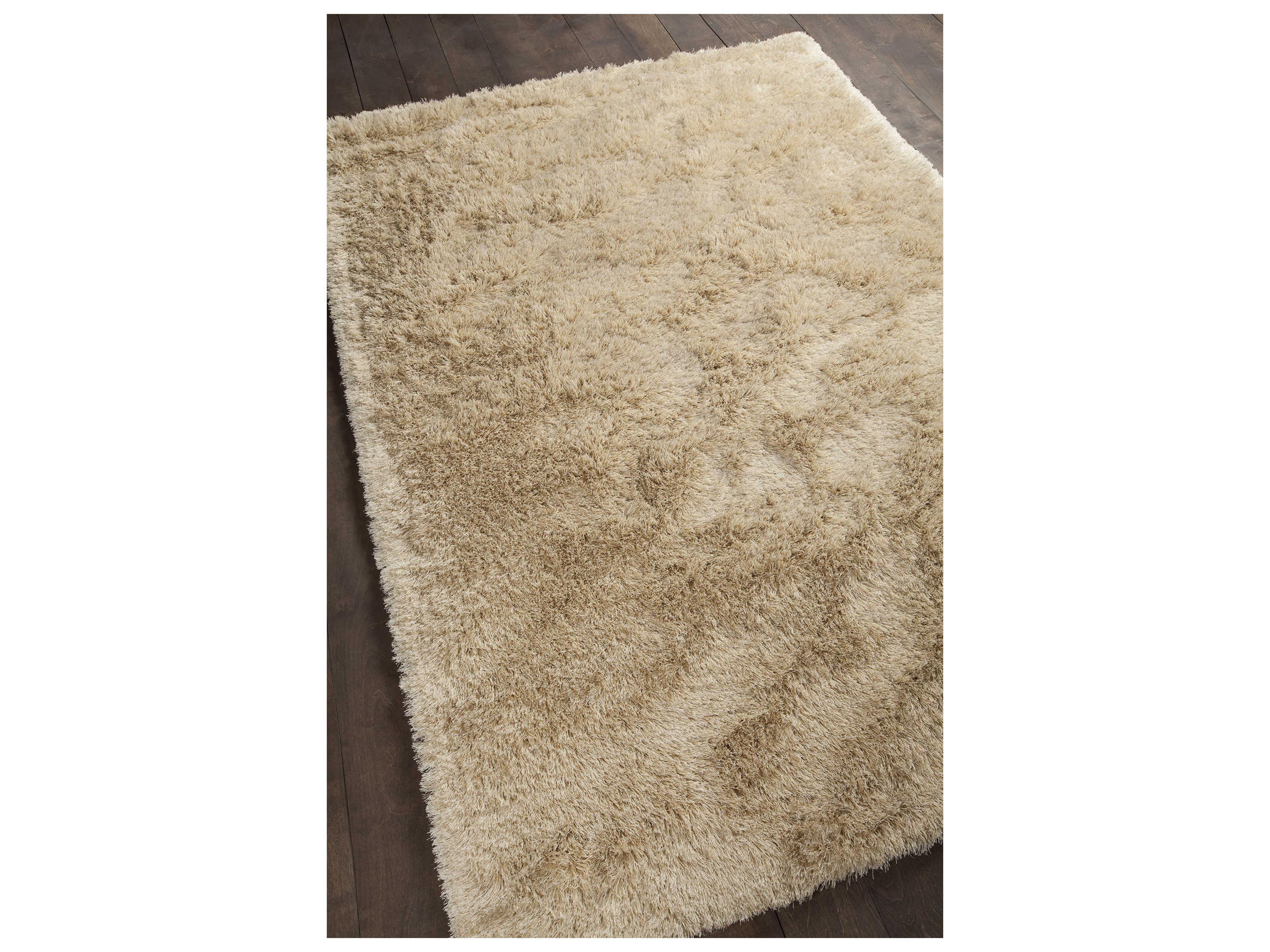 Chandra Vani Shag Area Rug