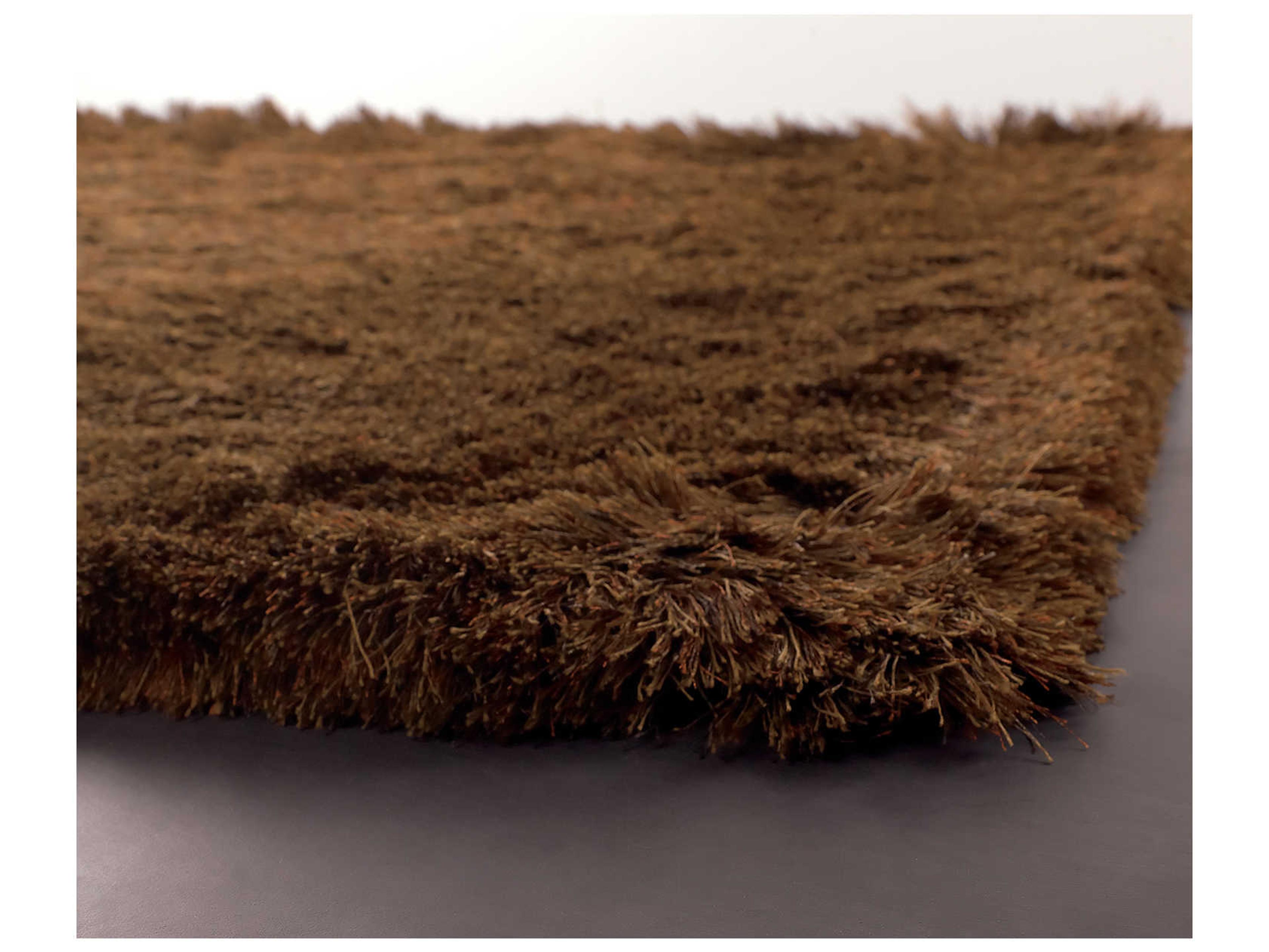 Chandra Vani Shag Area Rug