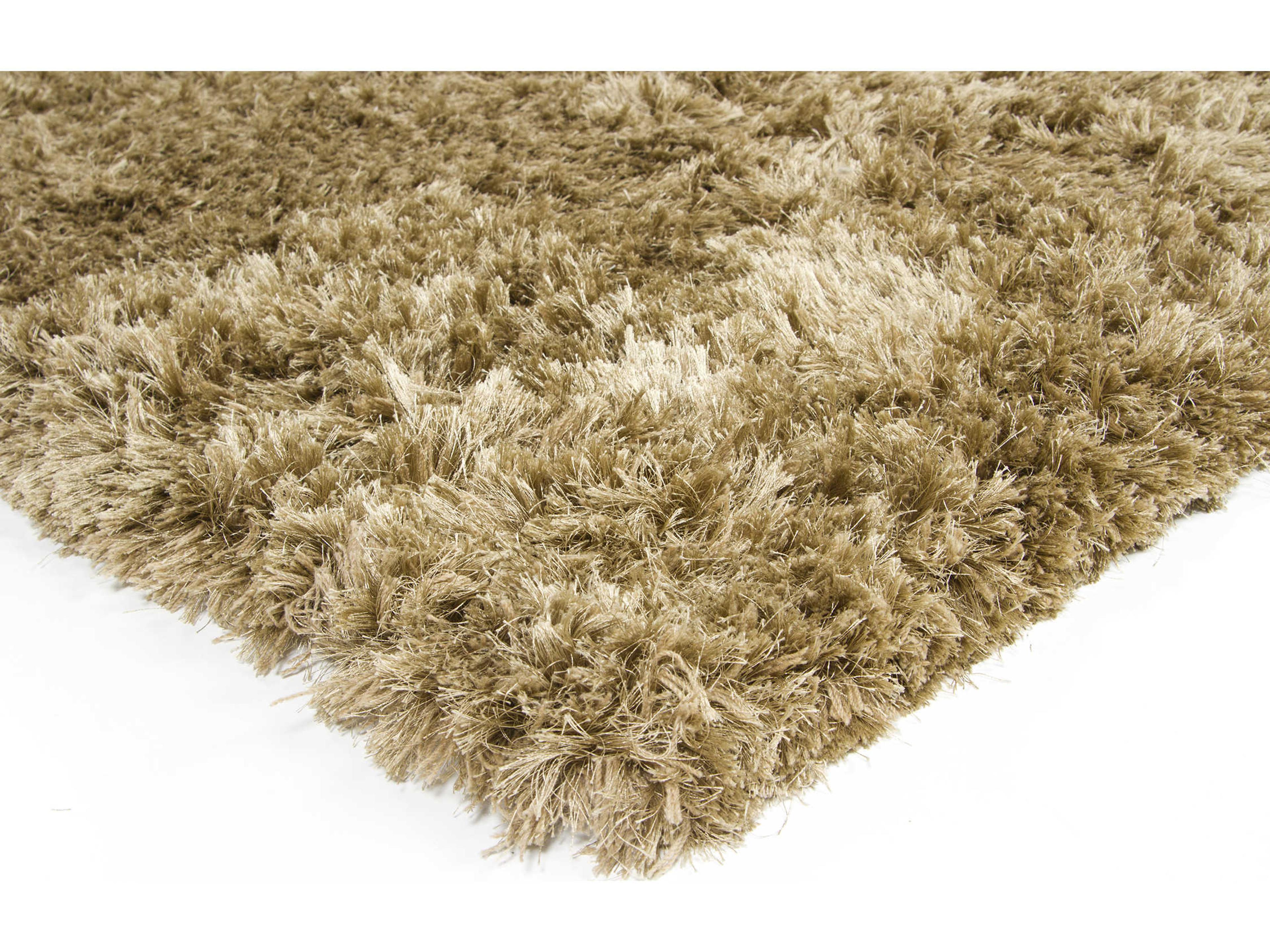 Chandra Vani Shag Area Rug