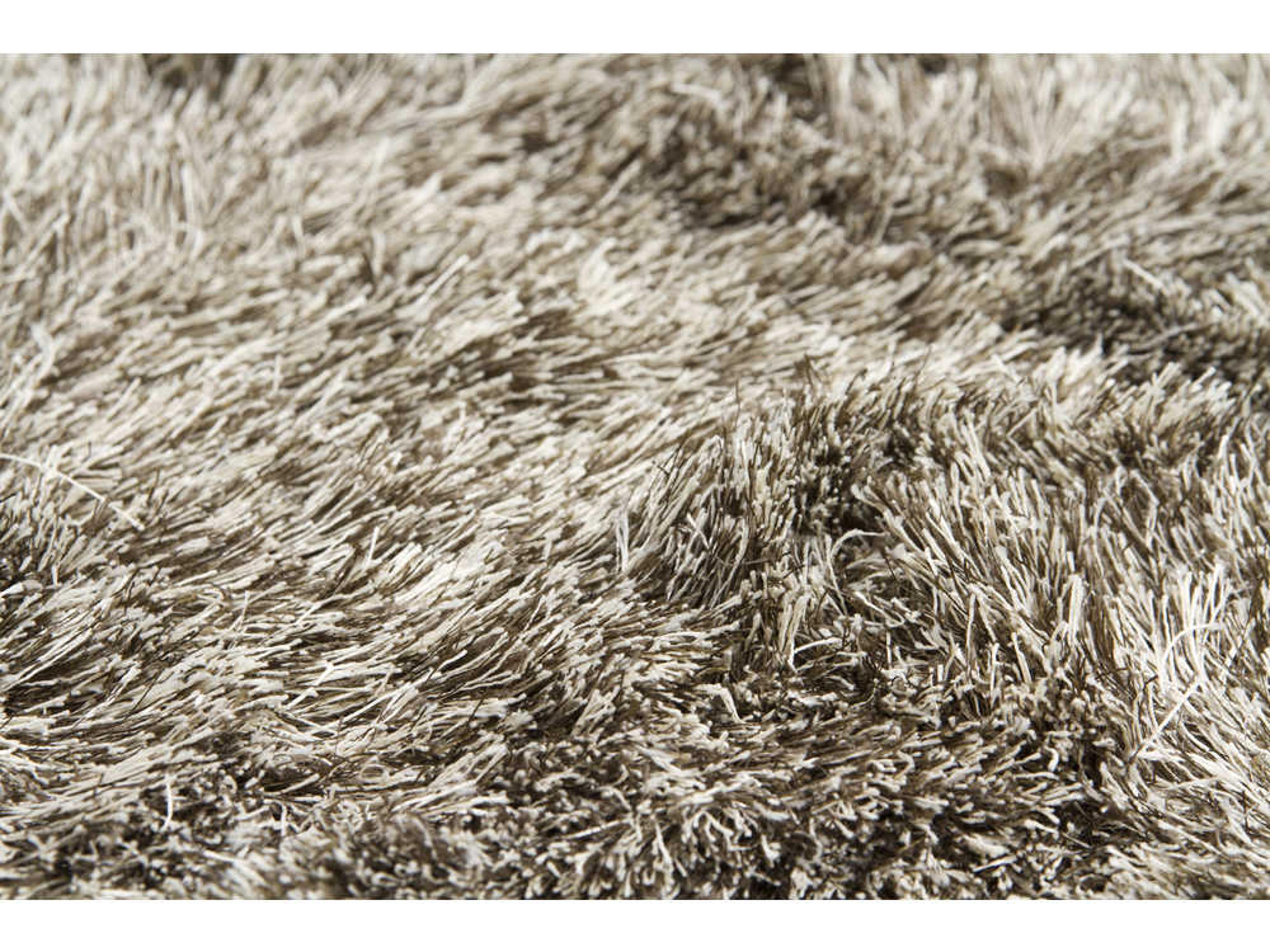 Chandra Vani Shag Area Rug