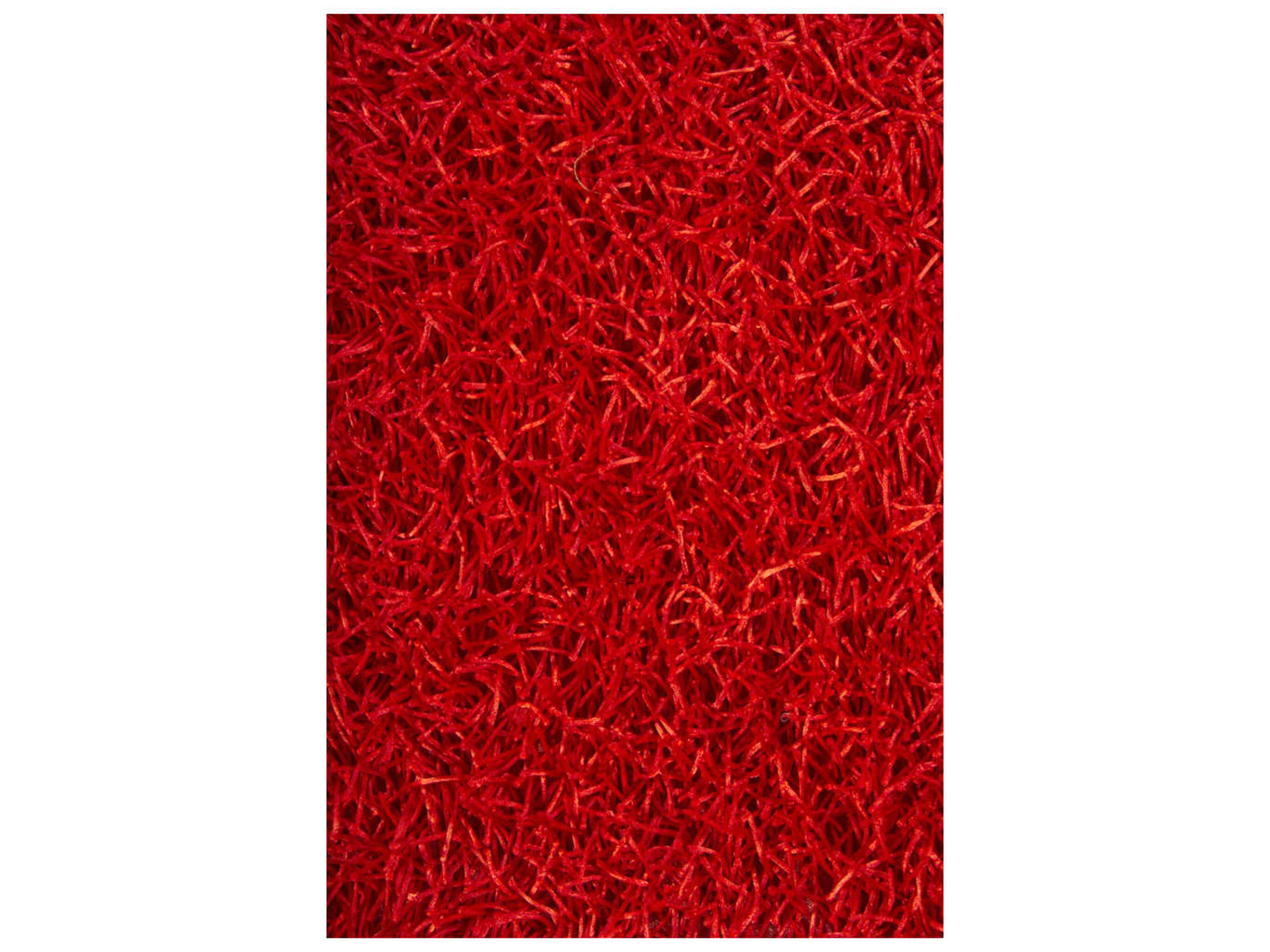Chandra Zara Shag Area Rug