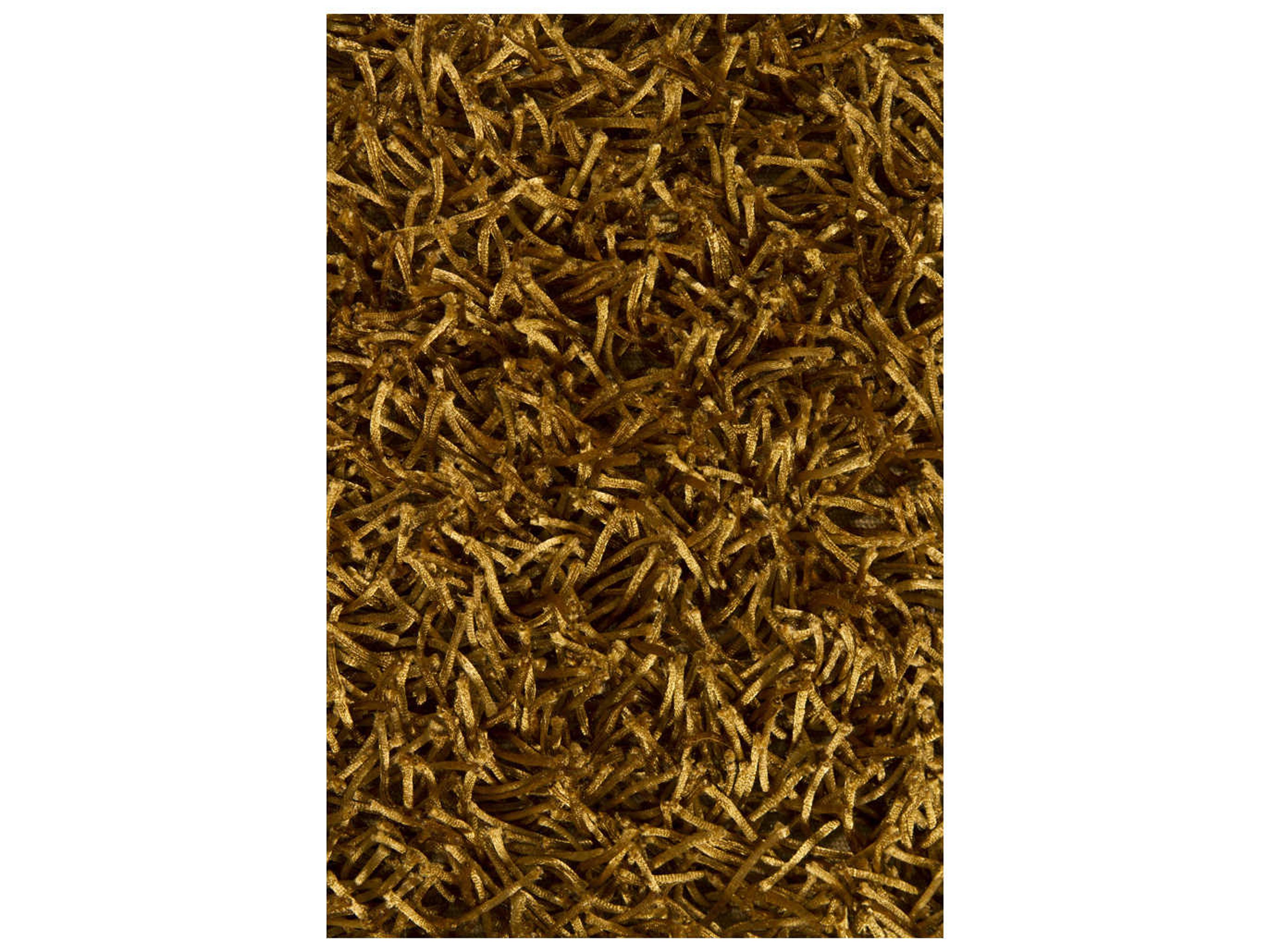 Chandra Zara Shag Area Rug