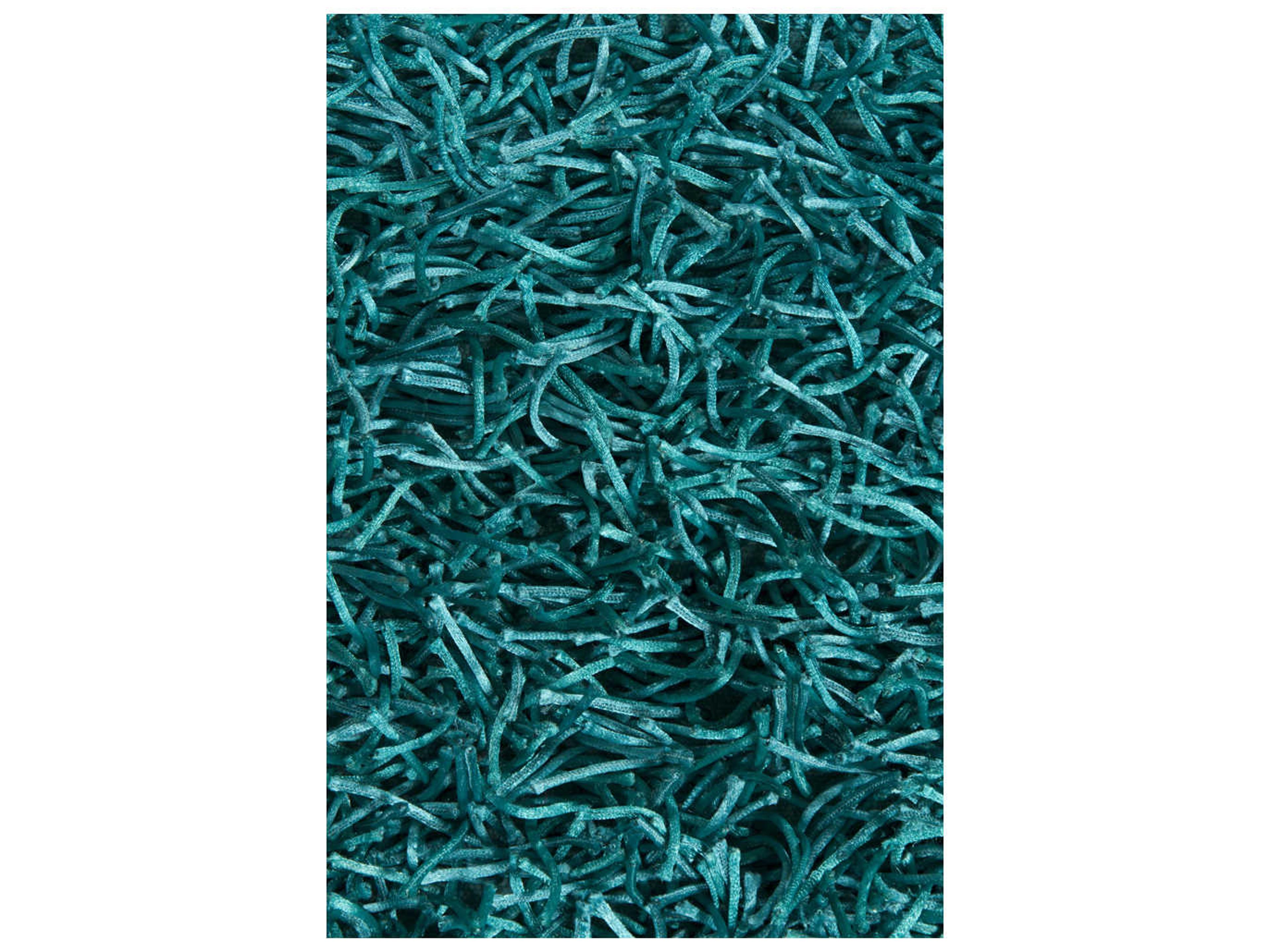 Chandra Zara Shag Area Rug