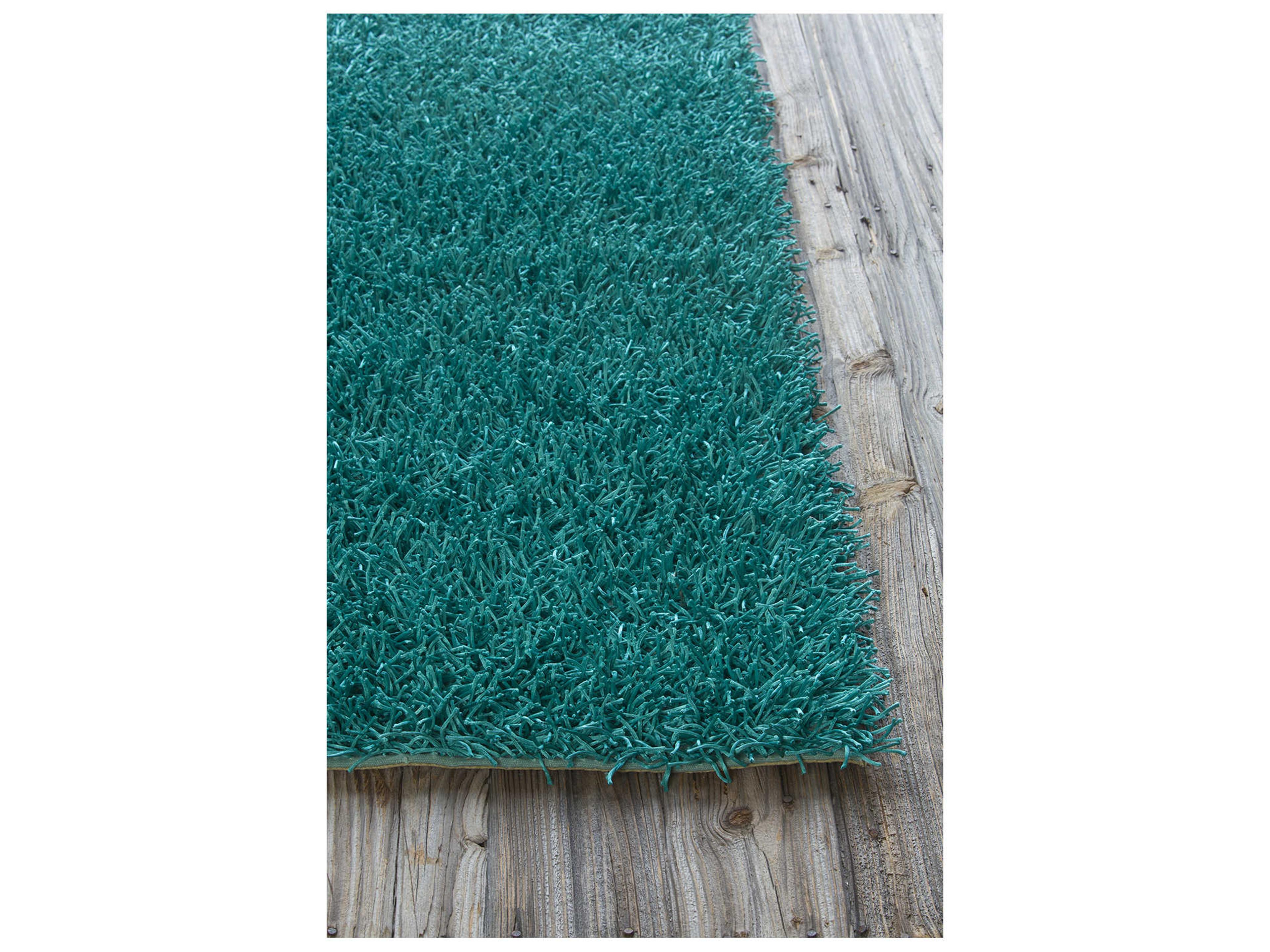 Chandra Zara Shag Area Rug