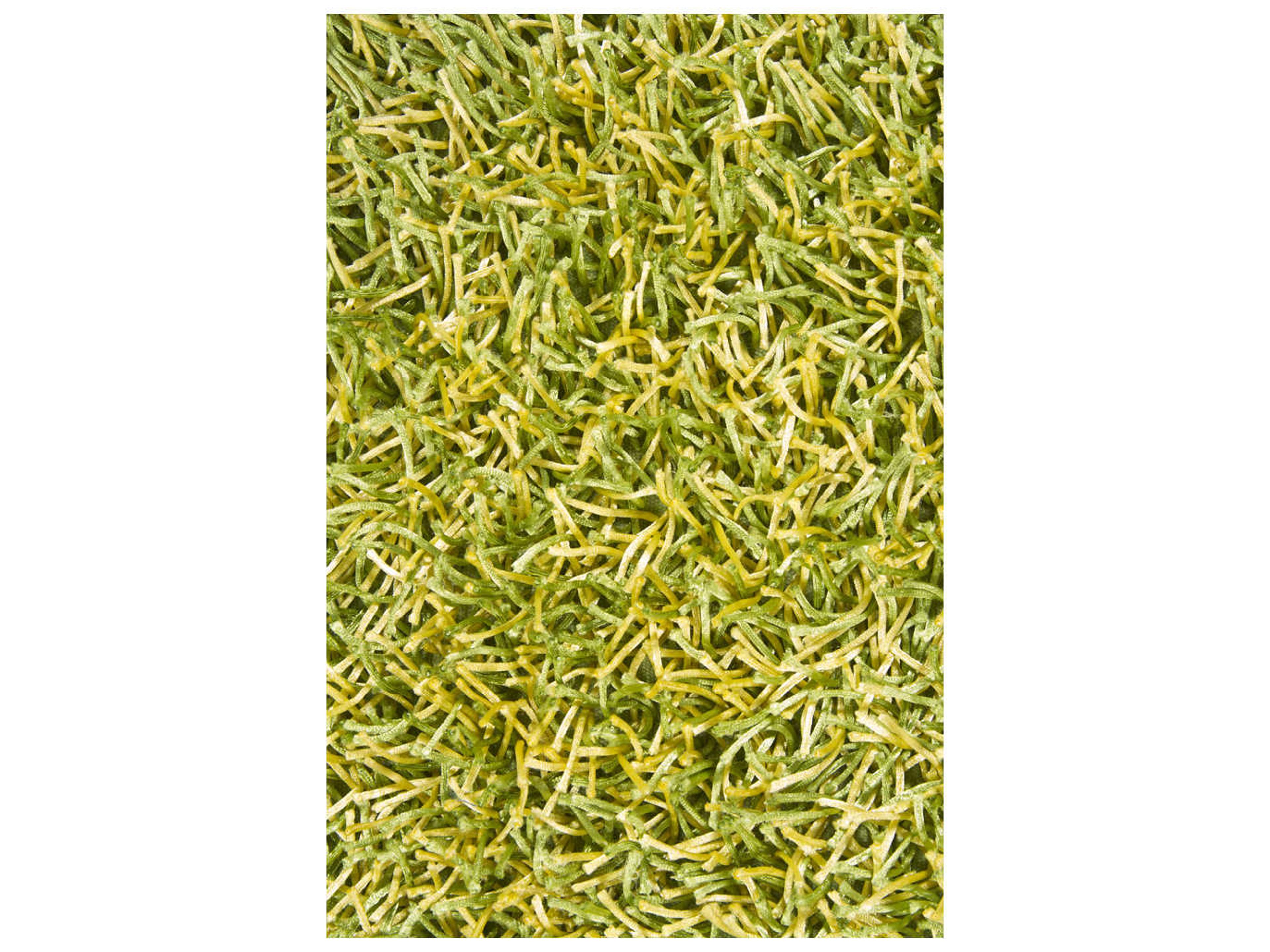 Chandra Zara Shag Area Rug