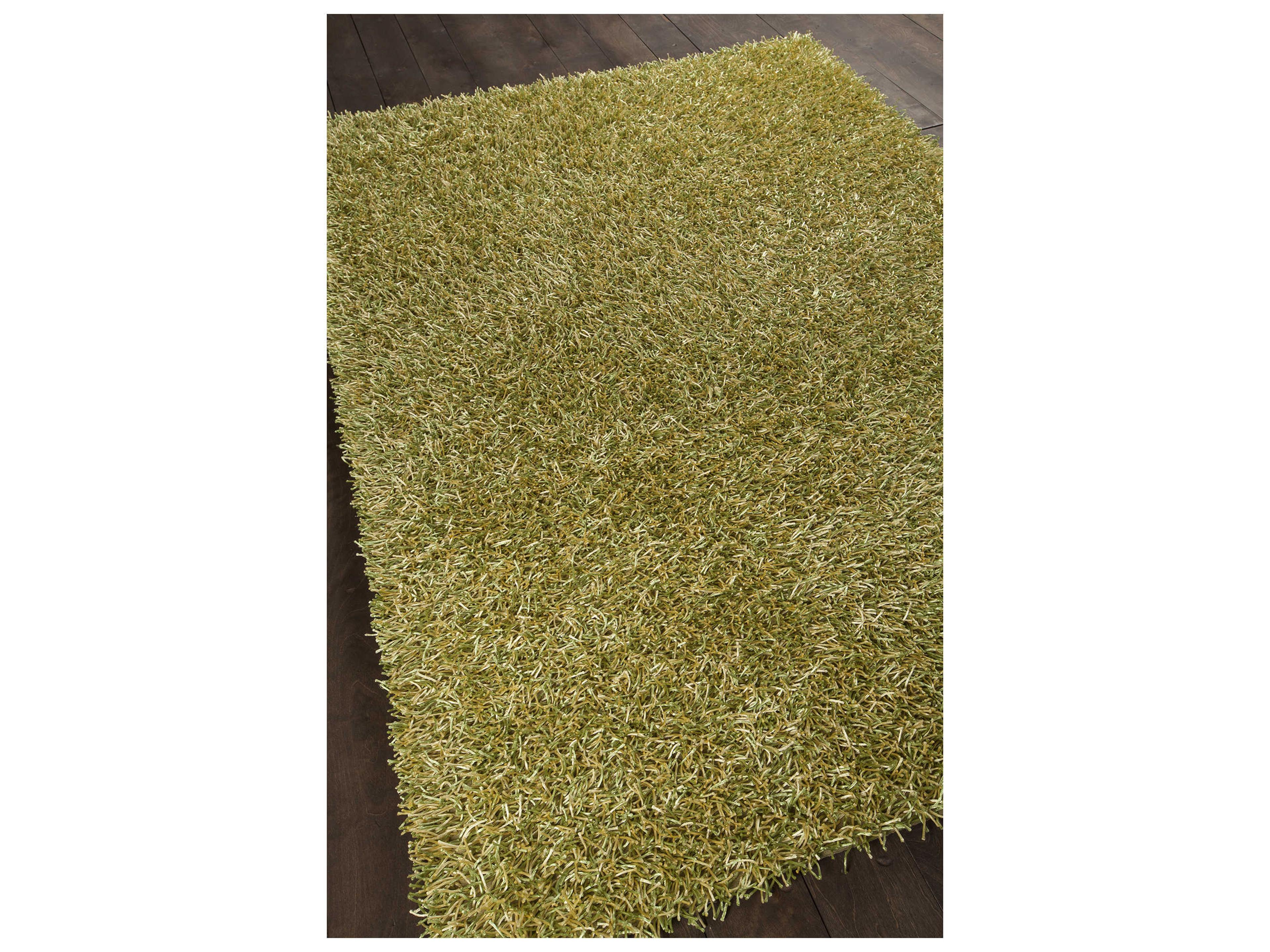 Chandra Zara Shag Area Rug