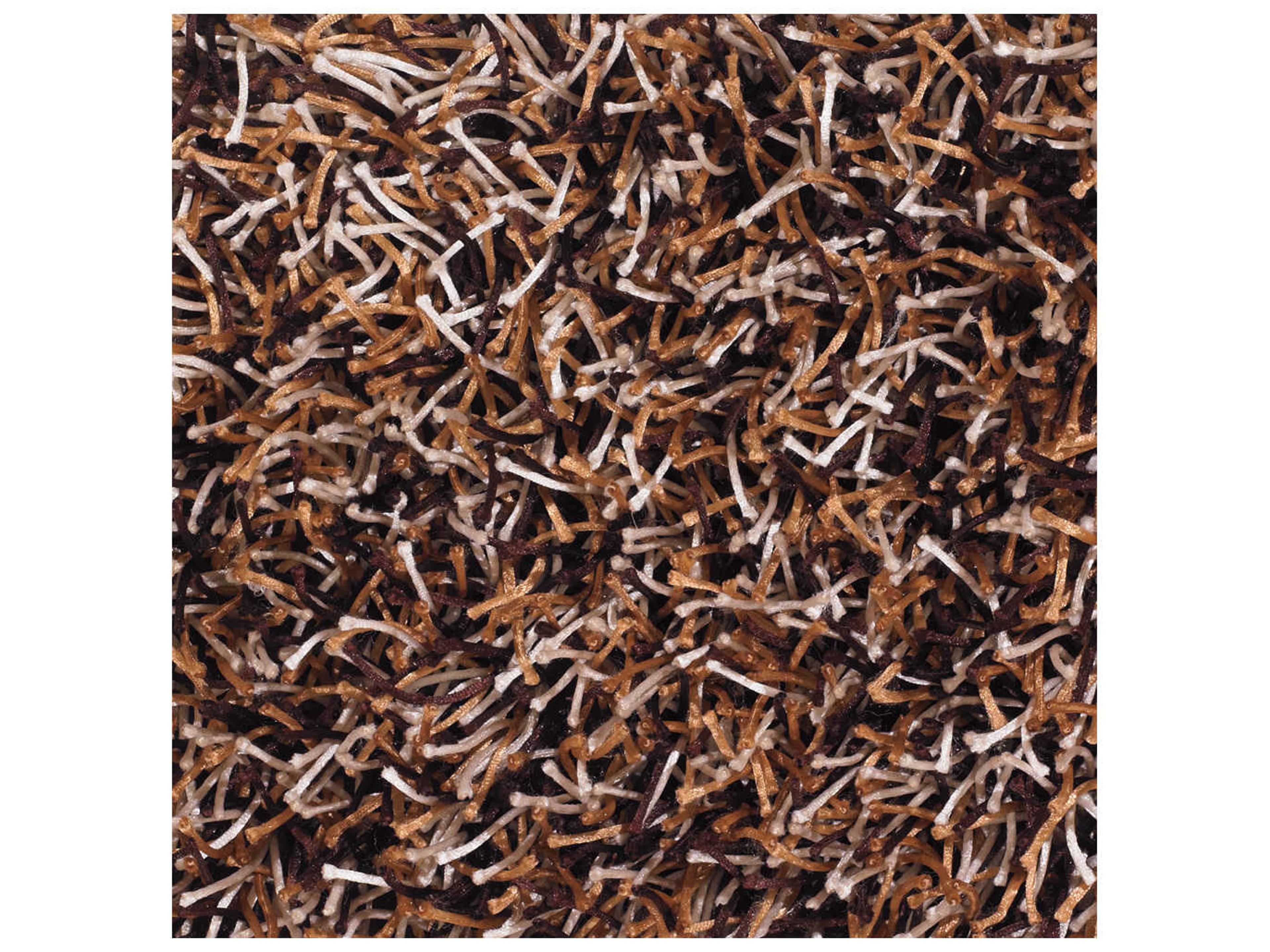 Chandra Zara Shag Area Rug