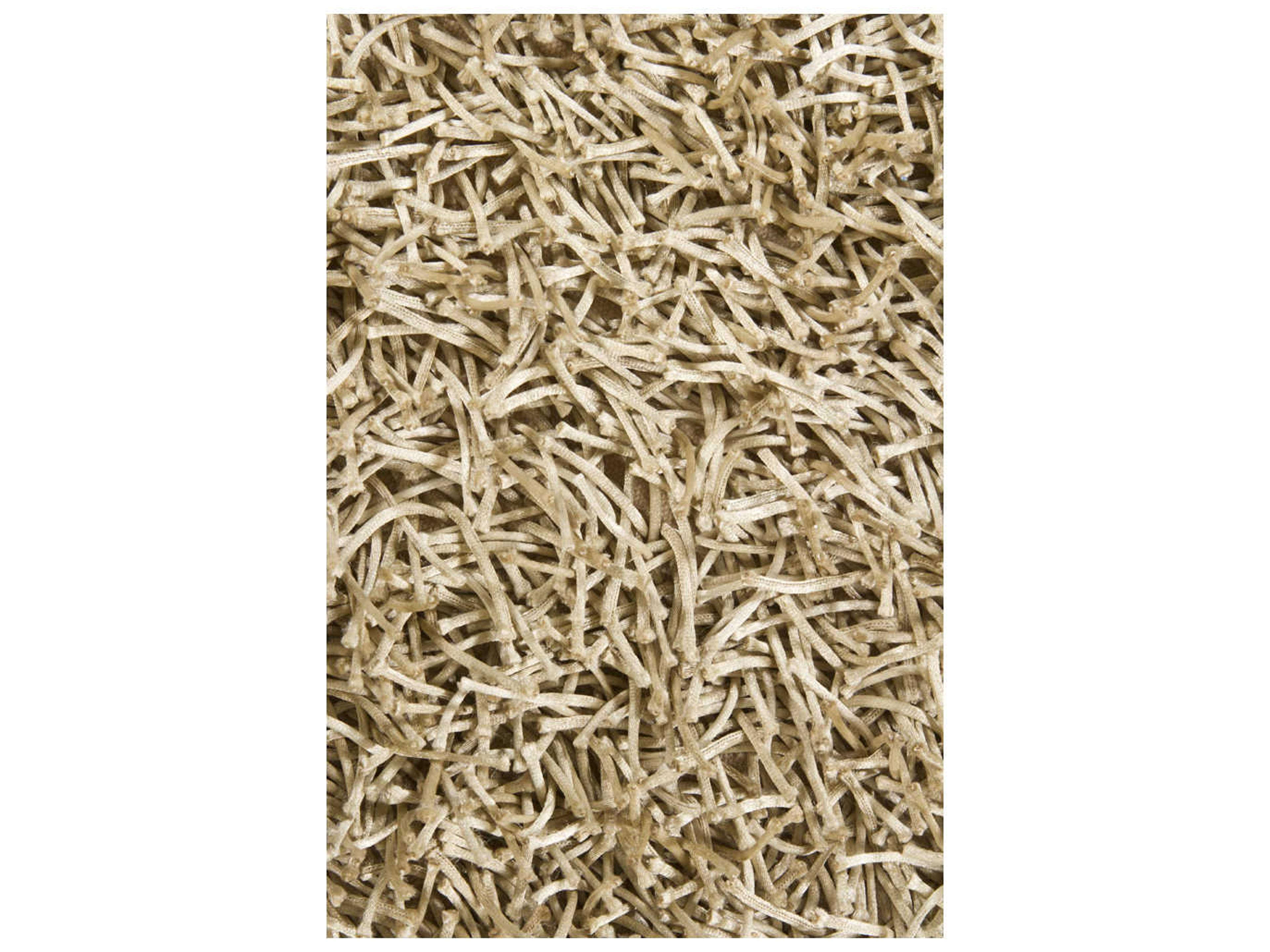 Chandra Zara Shag Area Rug